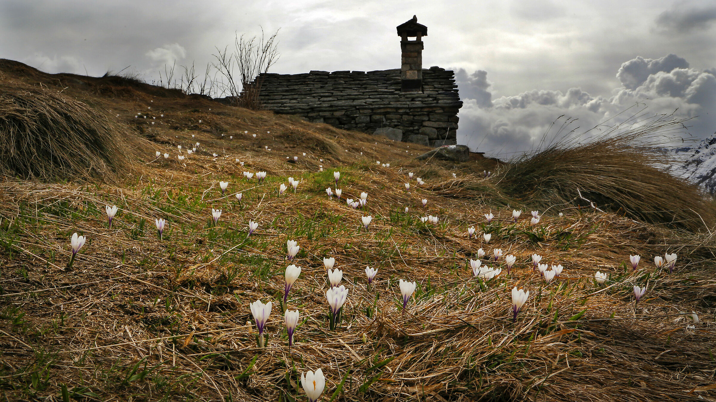 bivacco Augusto Pala m.1950- Alpe Hinderbalmo