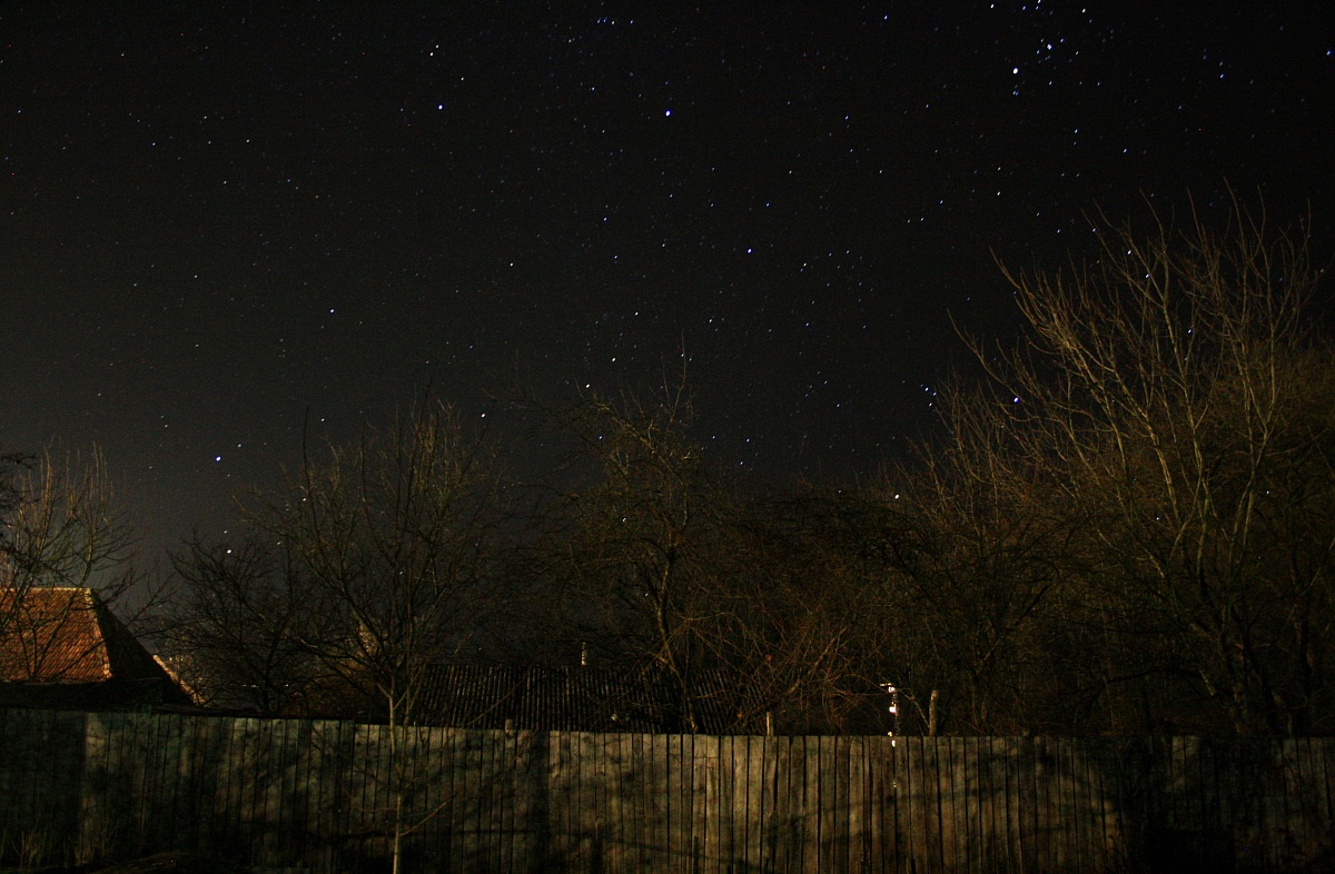 Stars in the garden2