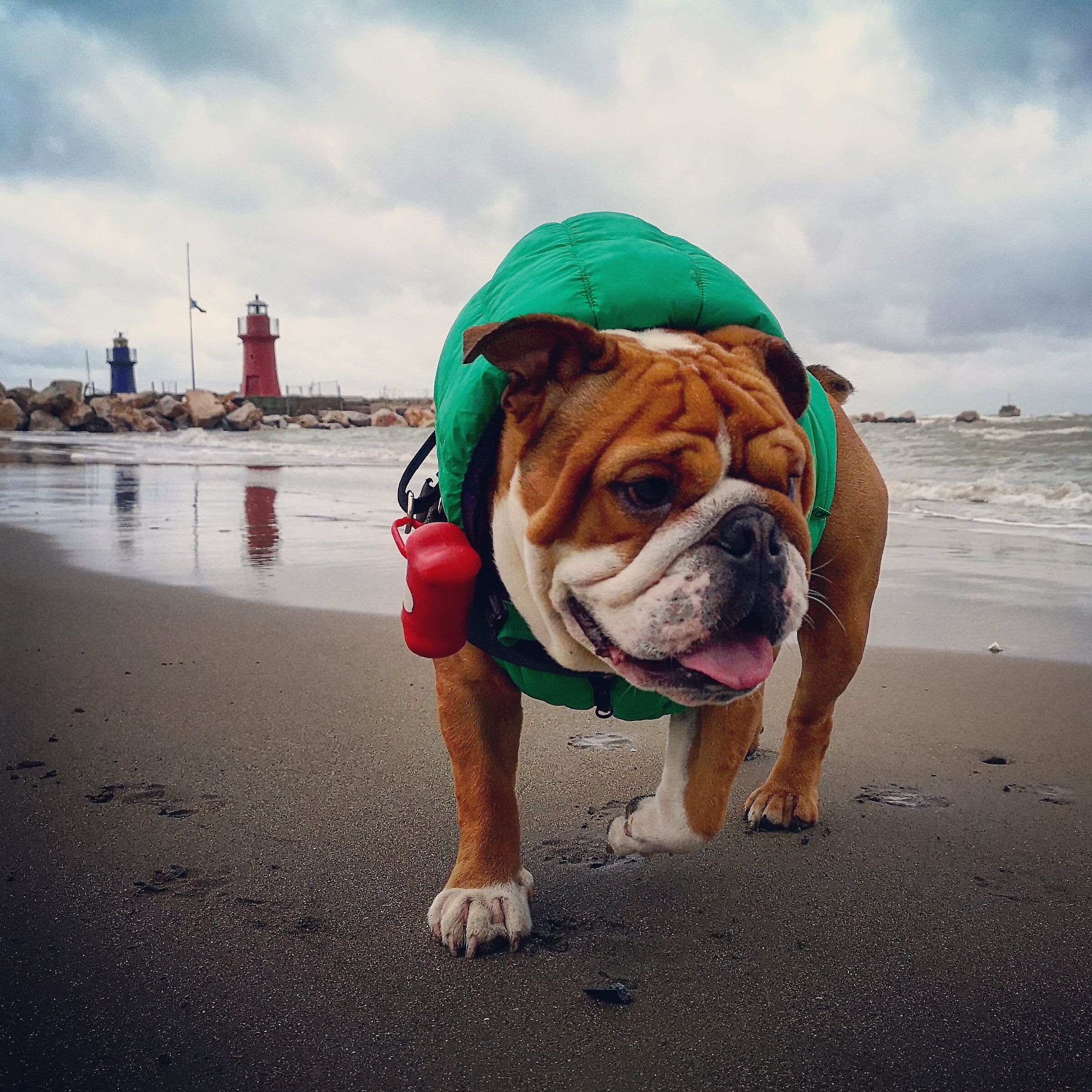 Castiglion della pescaia