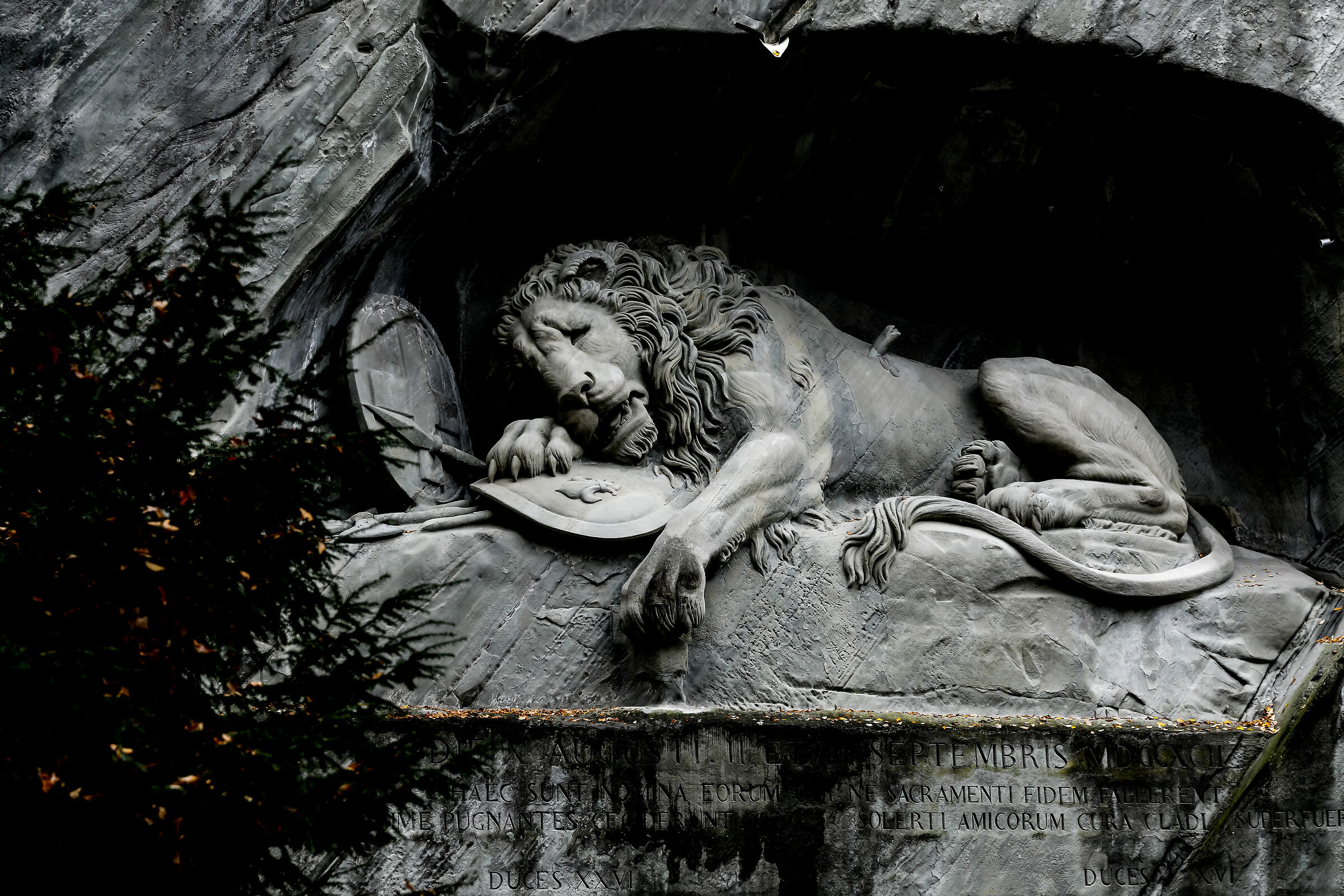 The symbol of the Swiss soldier's loyalty