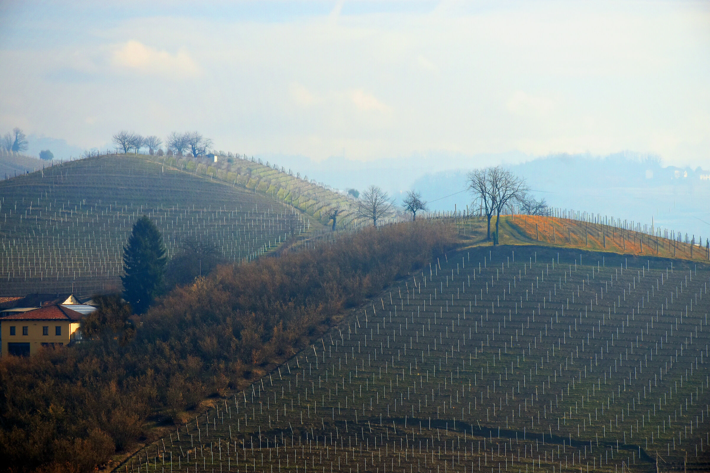 Cuscinetti invernali