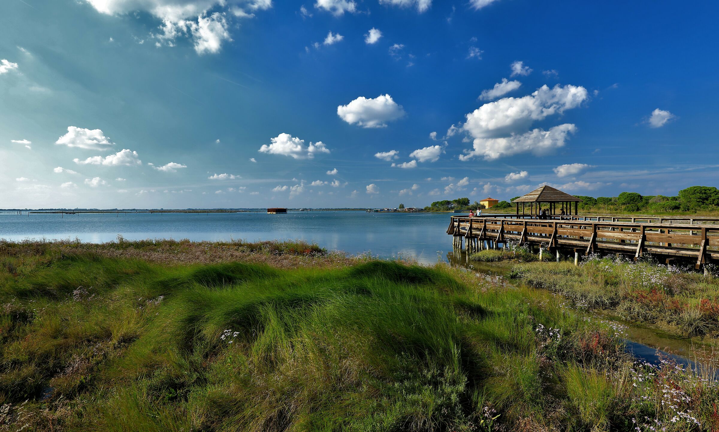 Porto Caleri giardino botanico