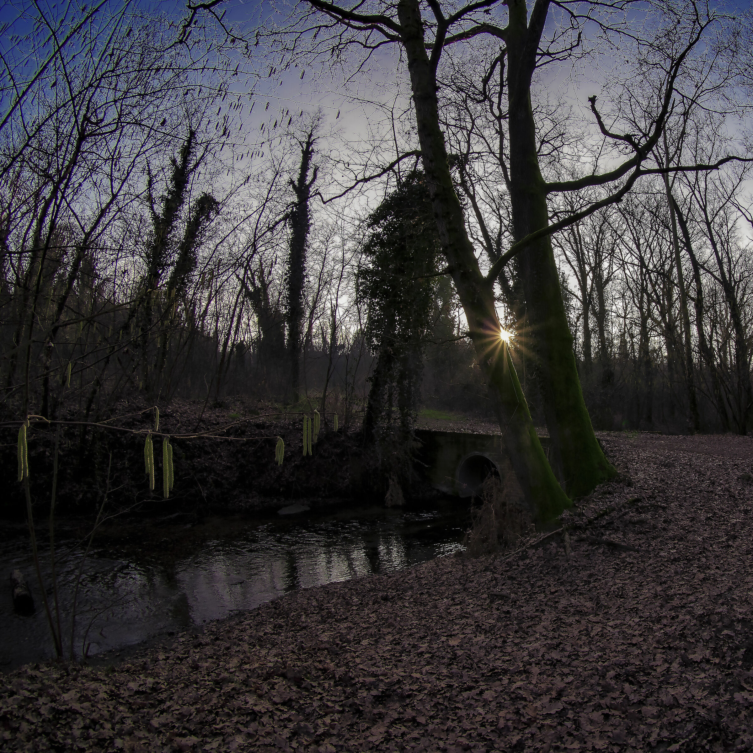 Il sole è una lampadina