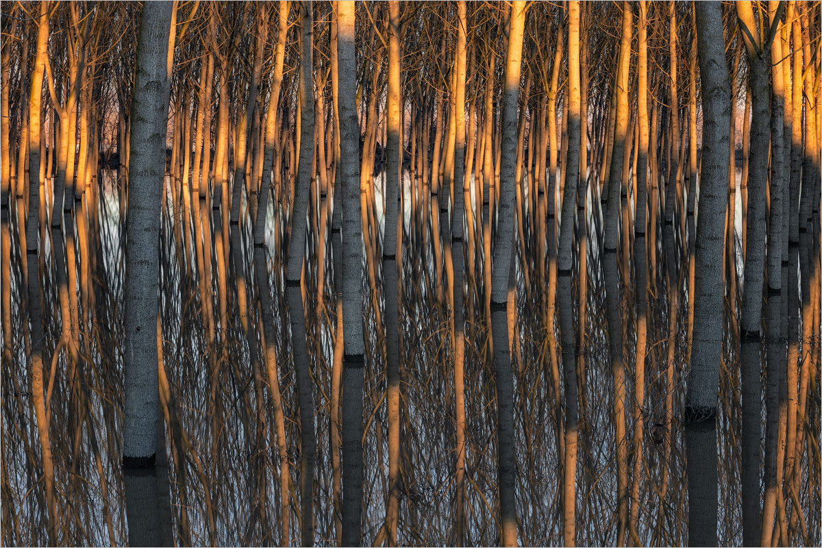 Kaleidoscope, California