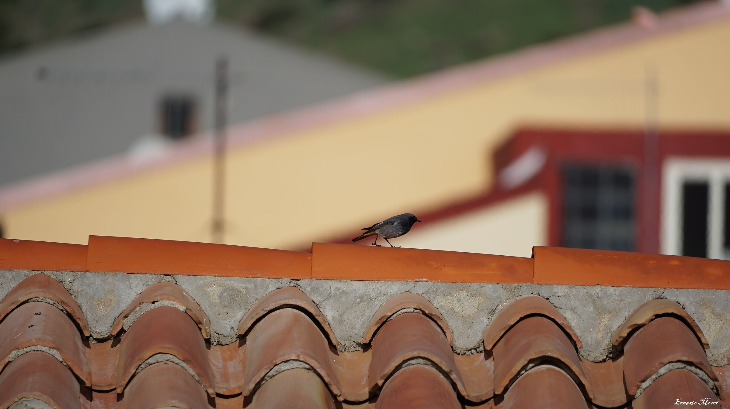 Two steps on the tetes