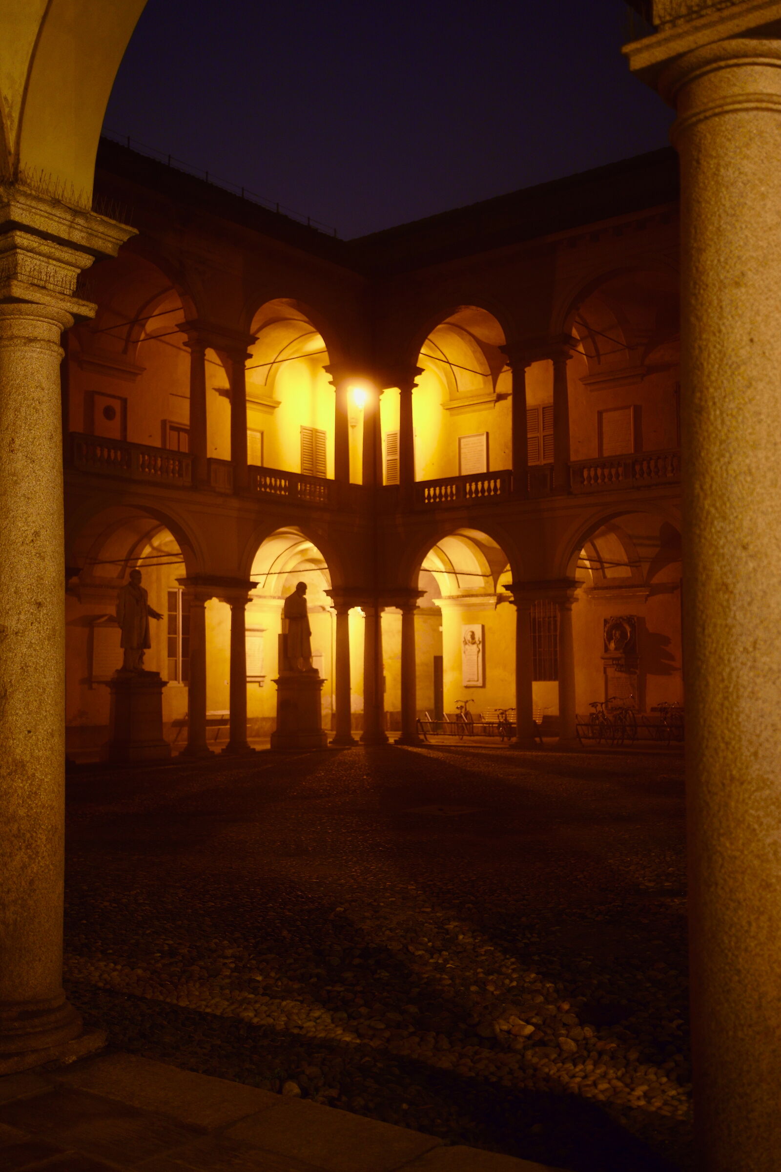 Cortile delle Statue, Università di Pavia 2