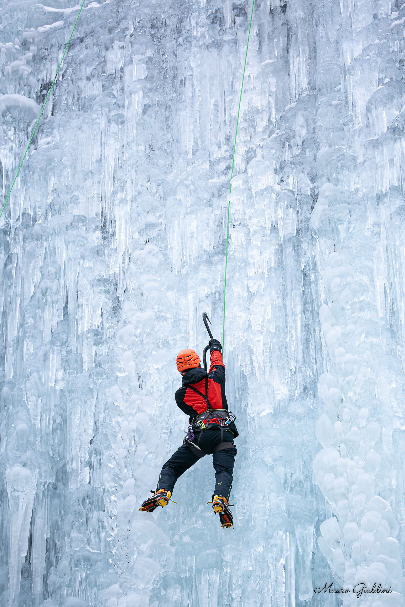The Climber