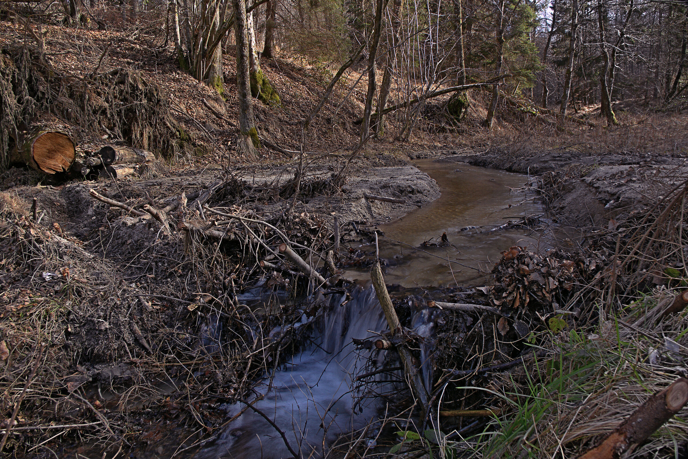 Torrente su Sabbie Antiche