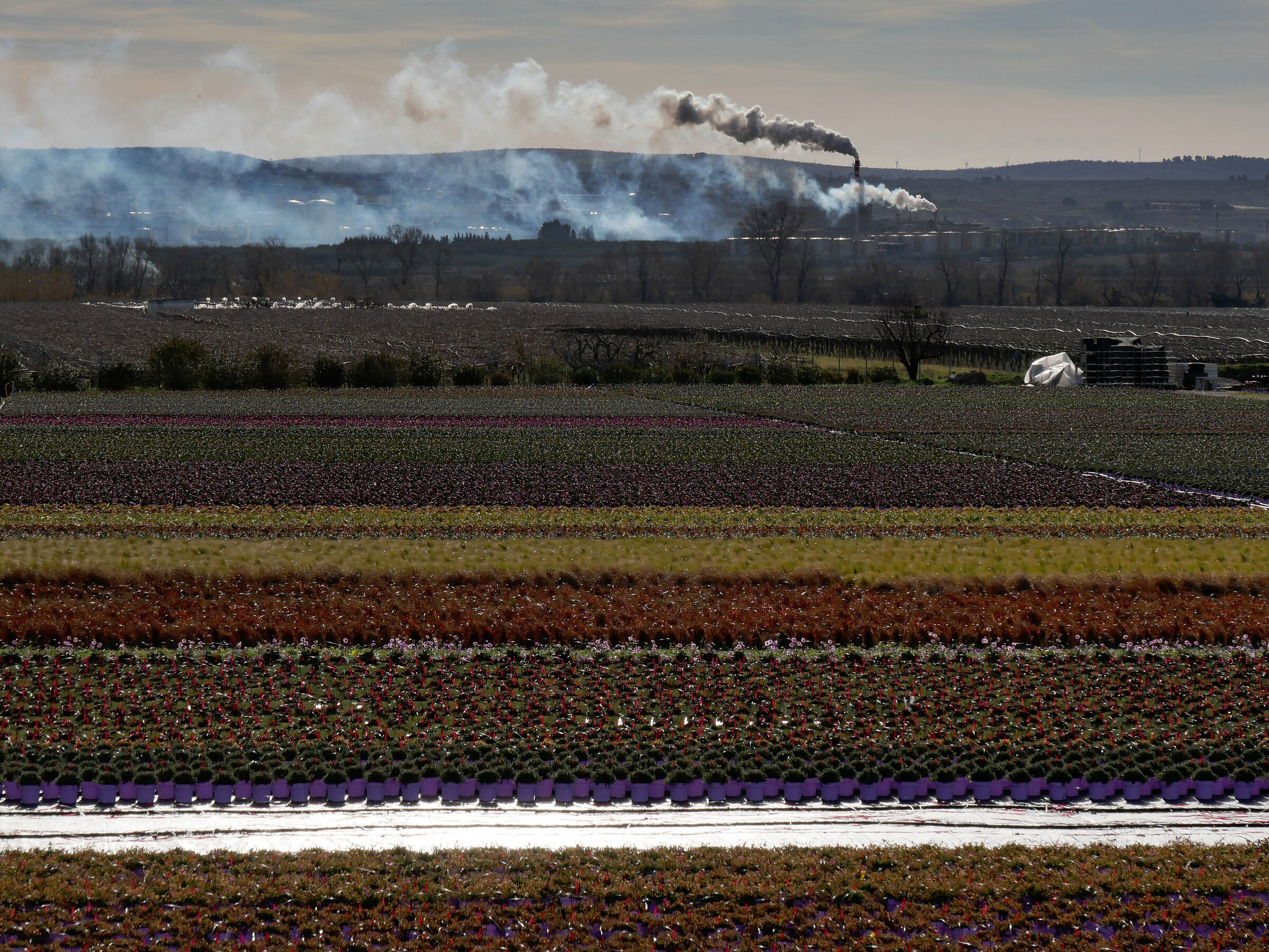 A14 parking lot - Canosa