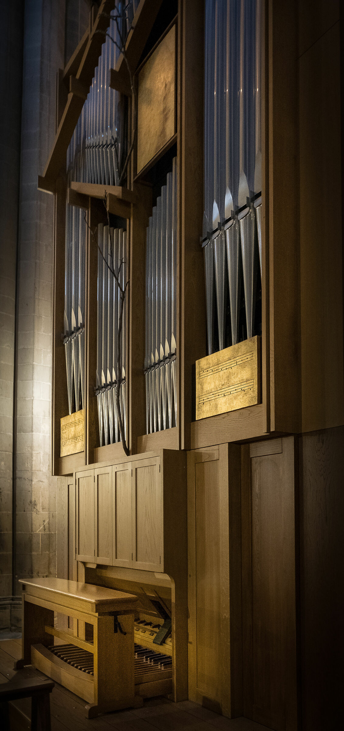 Organ