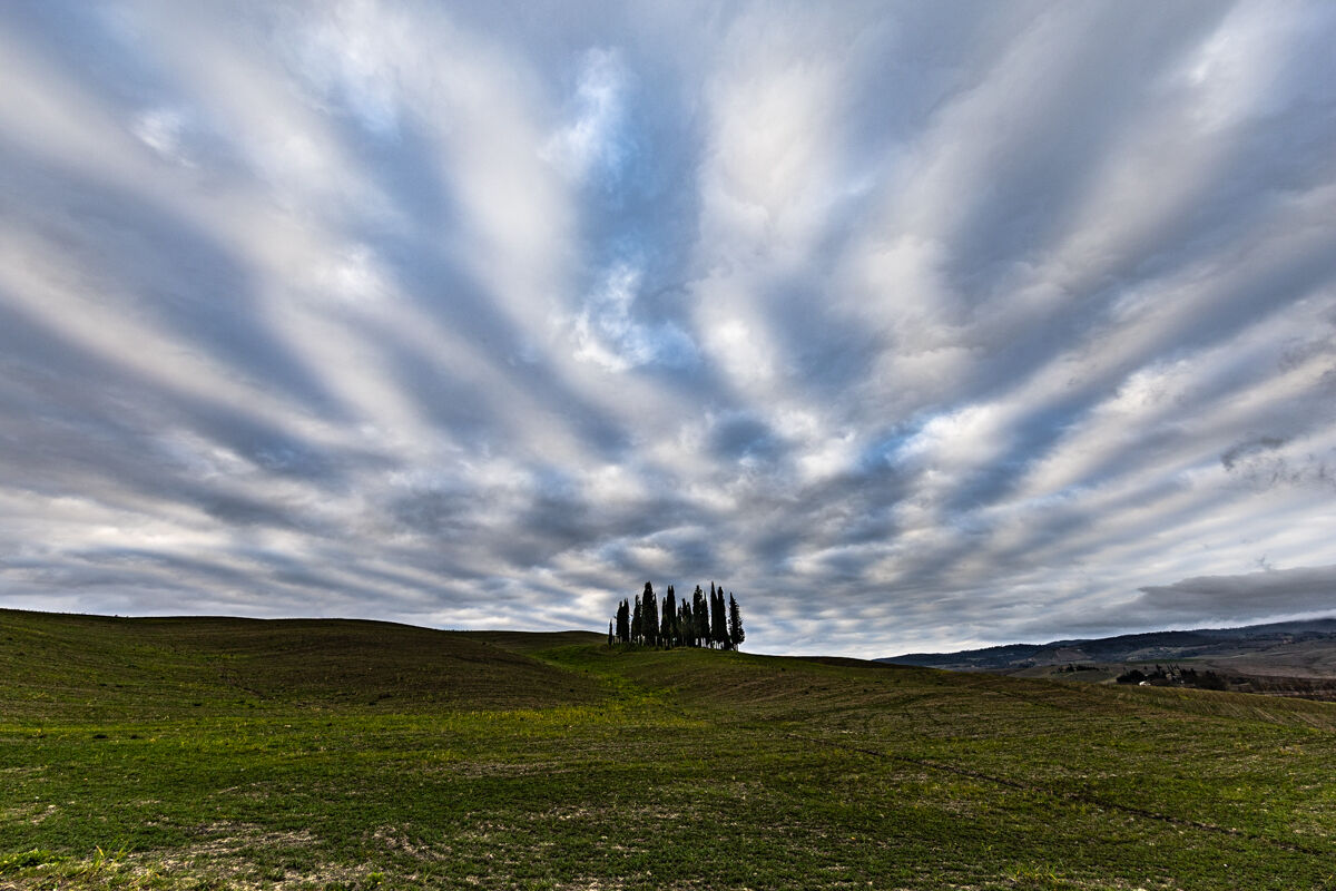Cloudy cypress hill
