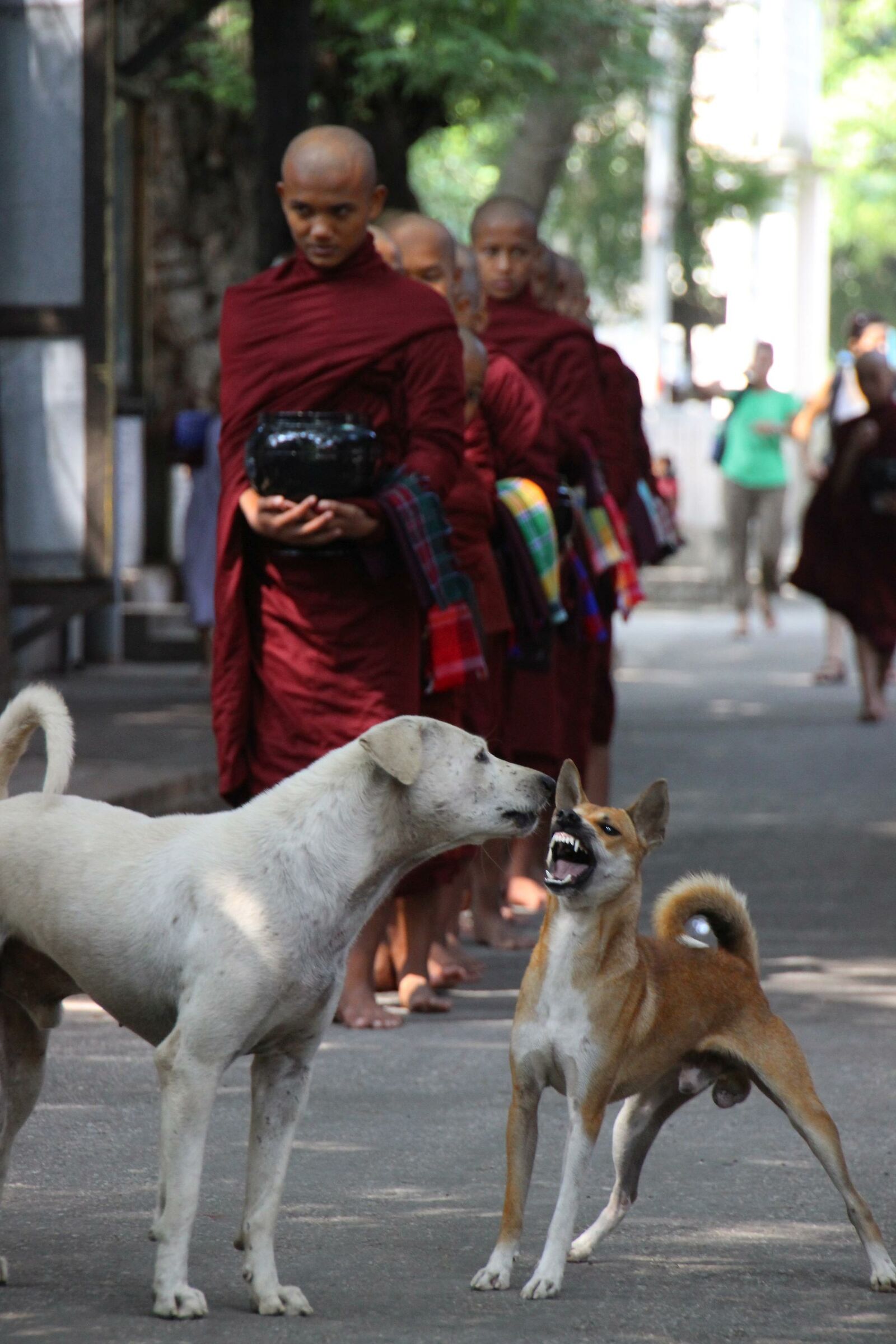 La quiete e la tempesta