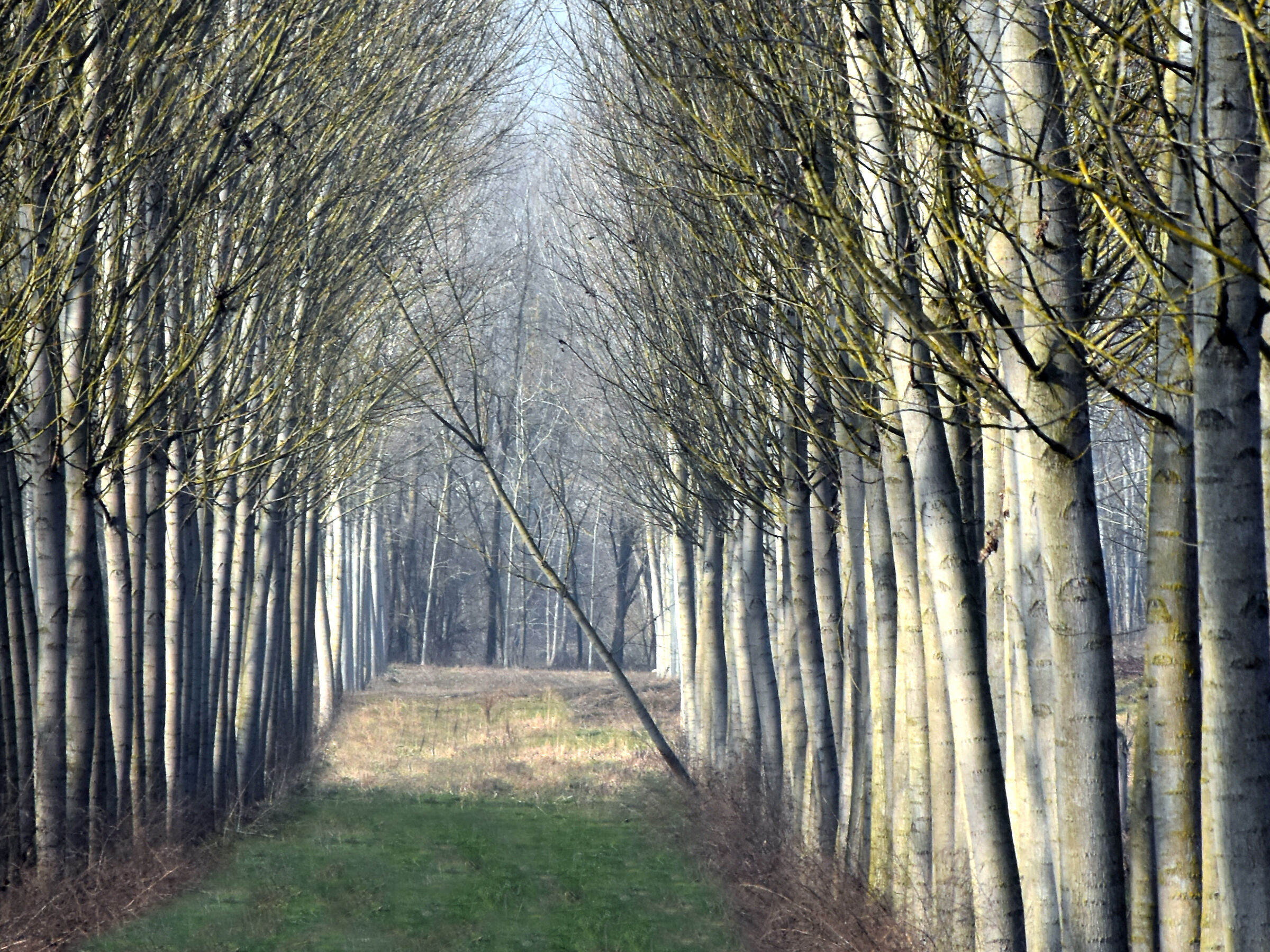 At the end of the tunnel