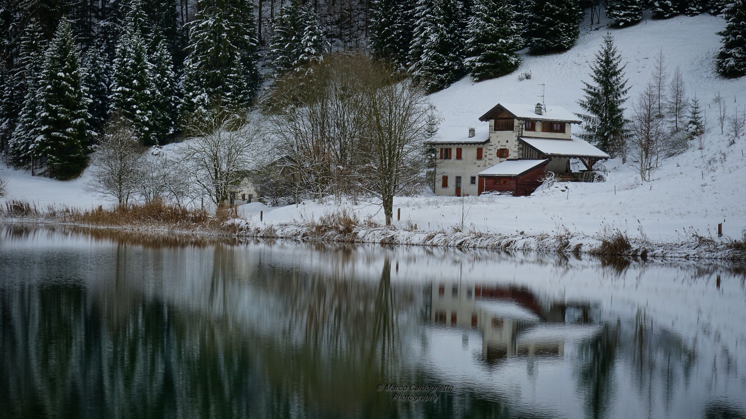 Lago di Roncone "riflessi"