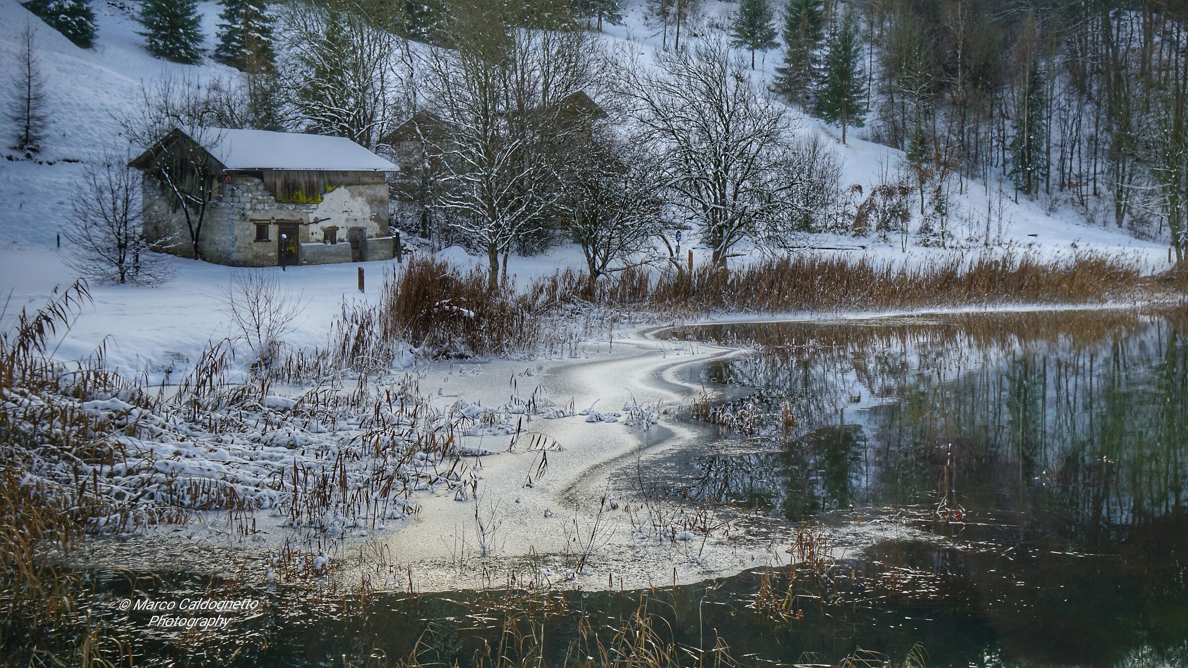 Casetta di cappucetto rosso