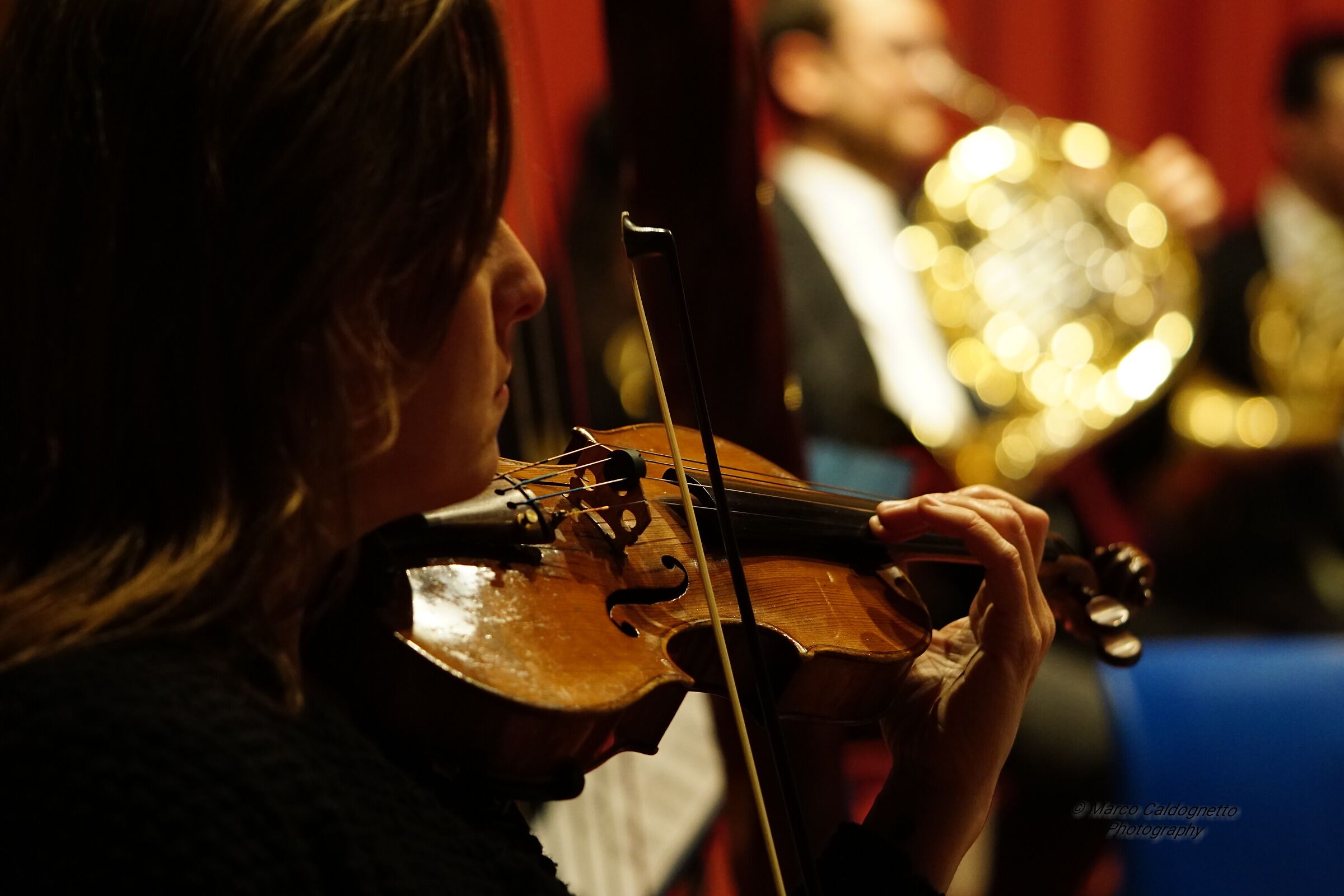 Orchestra delle Alpi