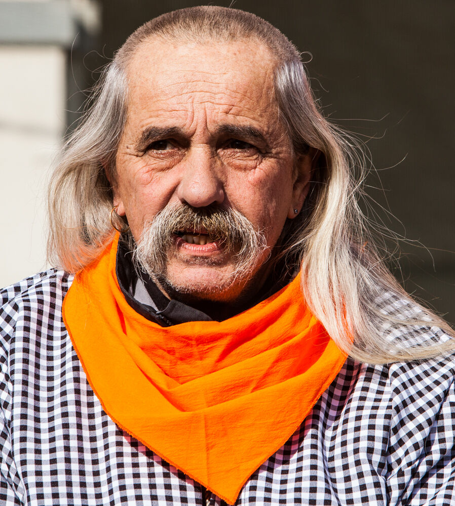 Portrait of the Carnival