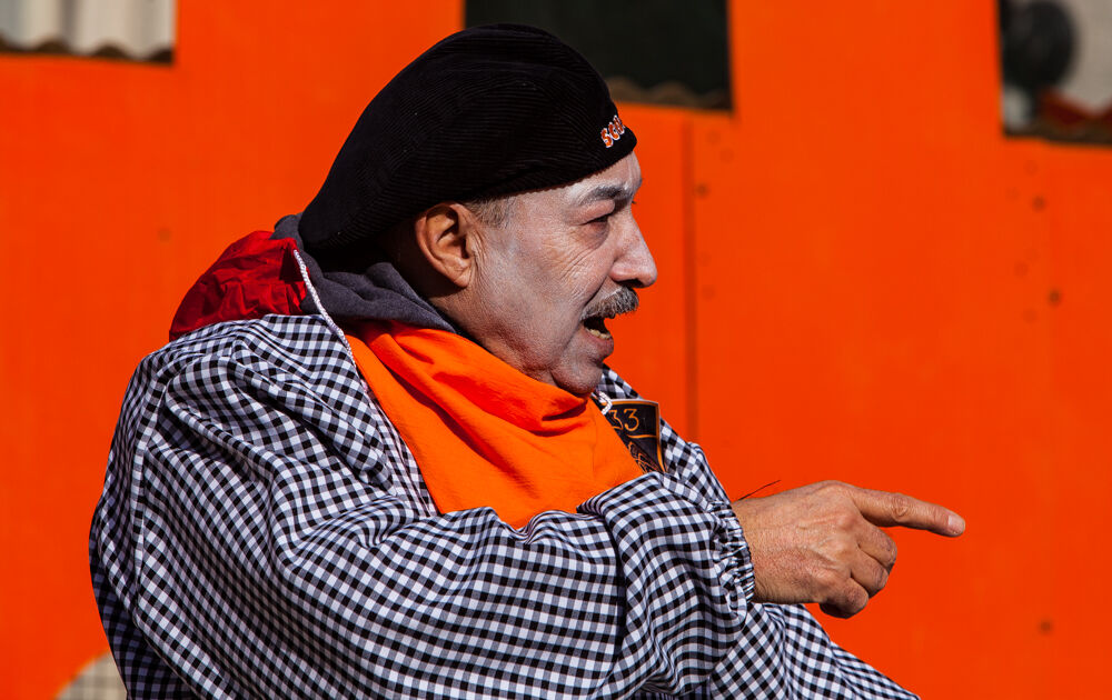 Portrait of the Carnival