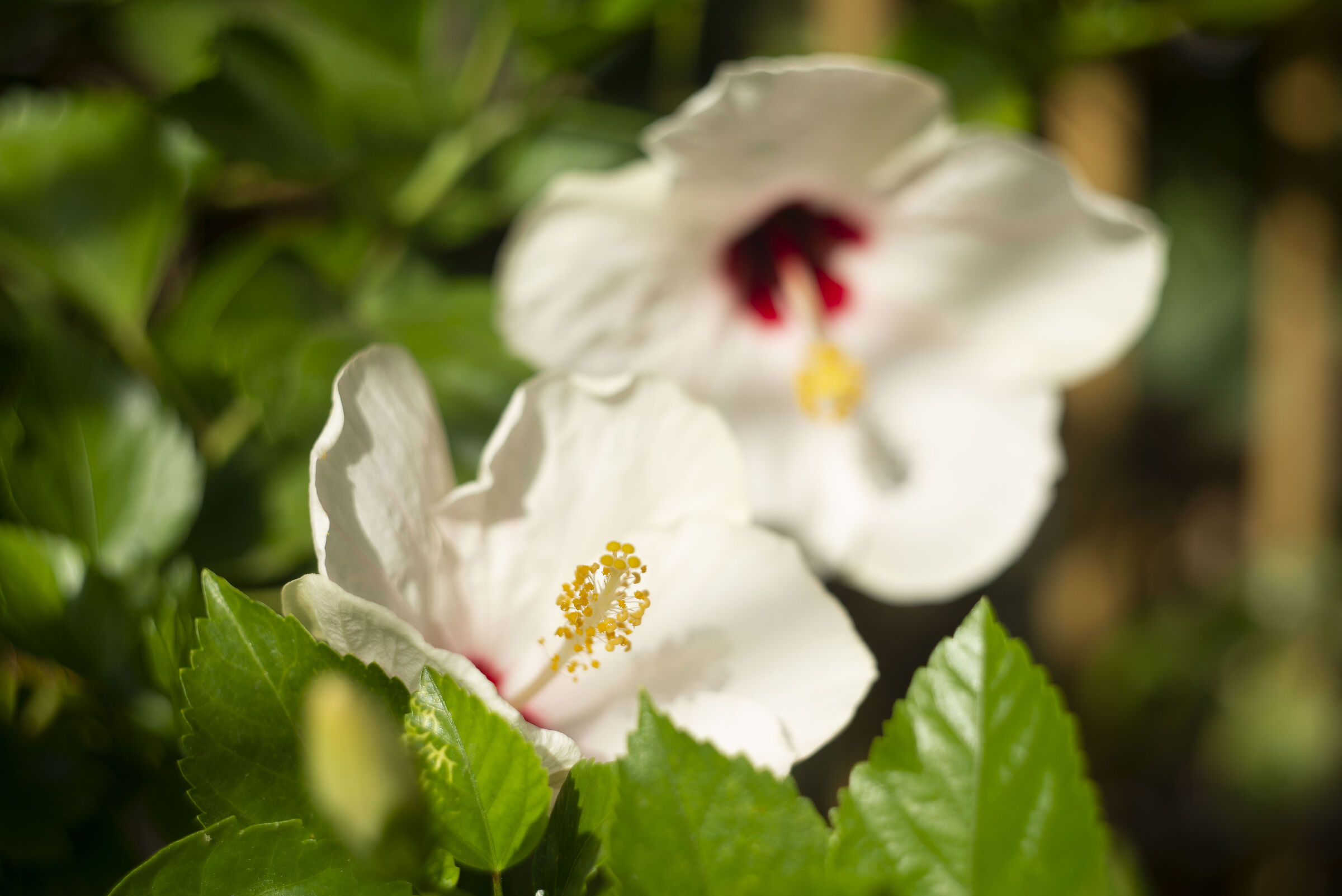 Untitled Photo
