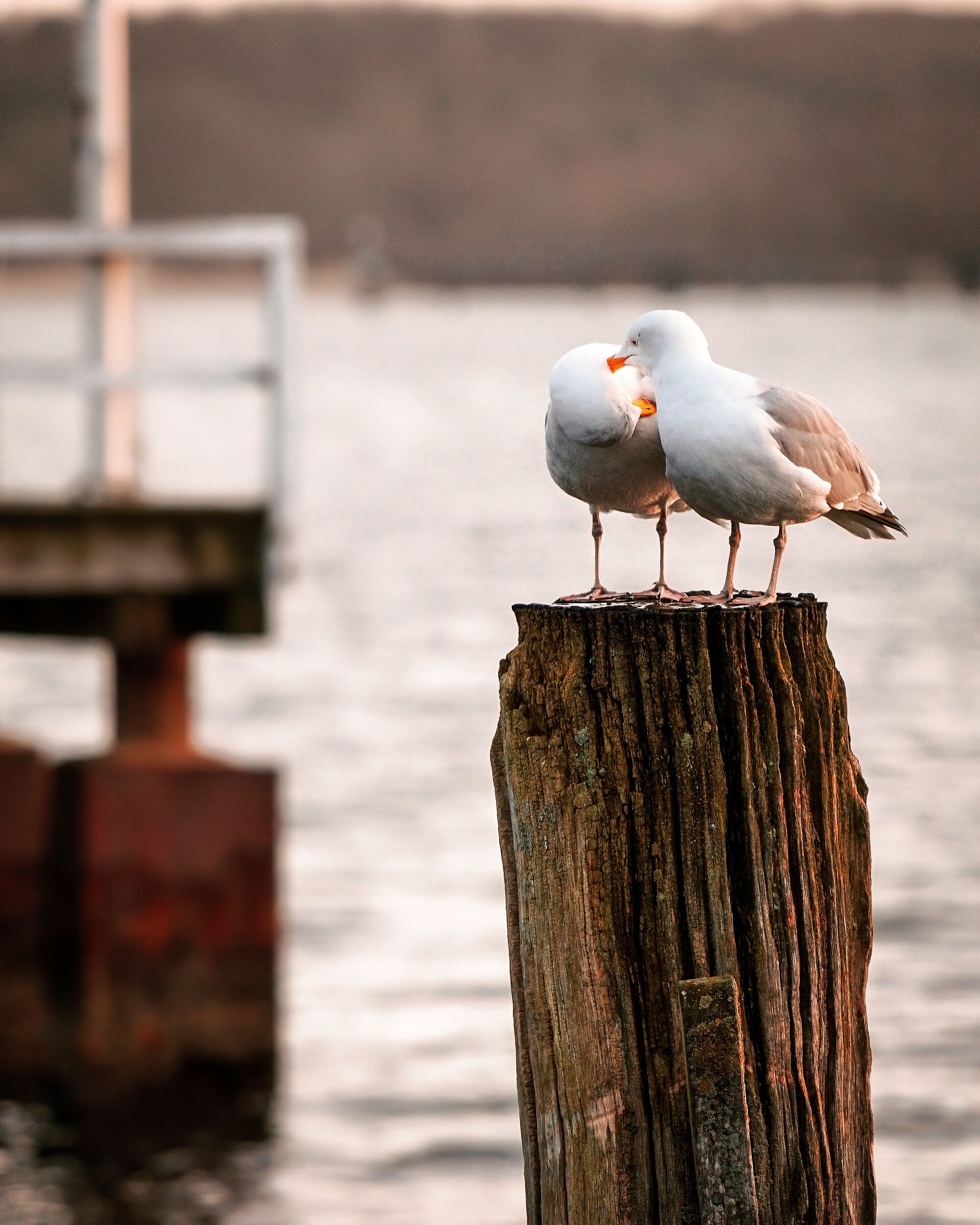 Every now and then the sun