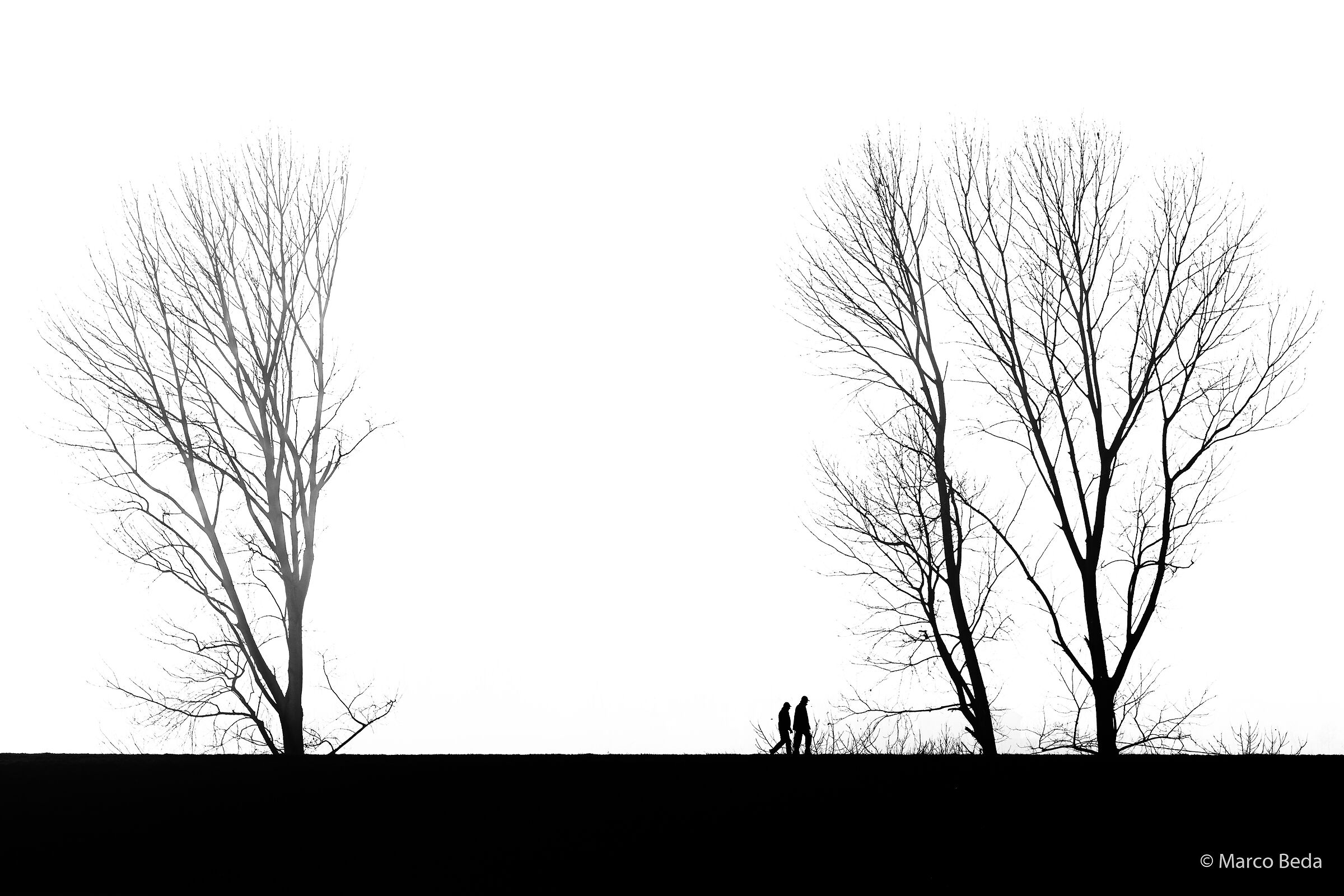 Minimal