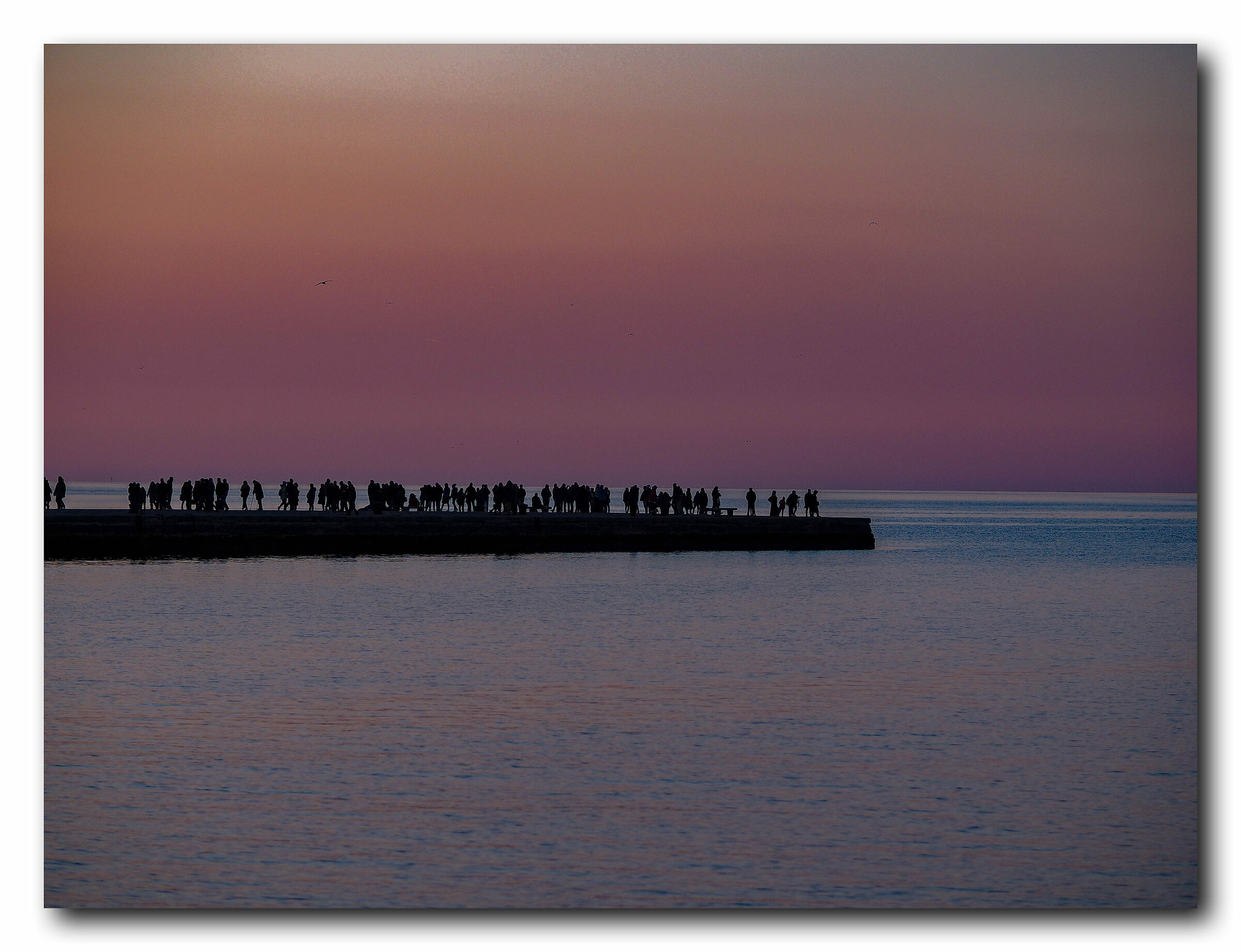 Trieste, Molo Audace