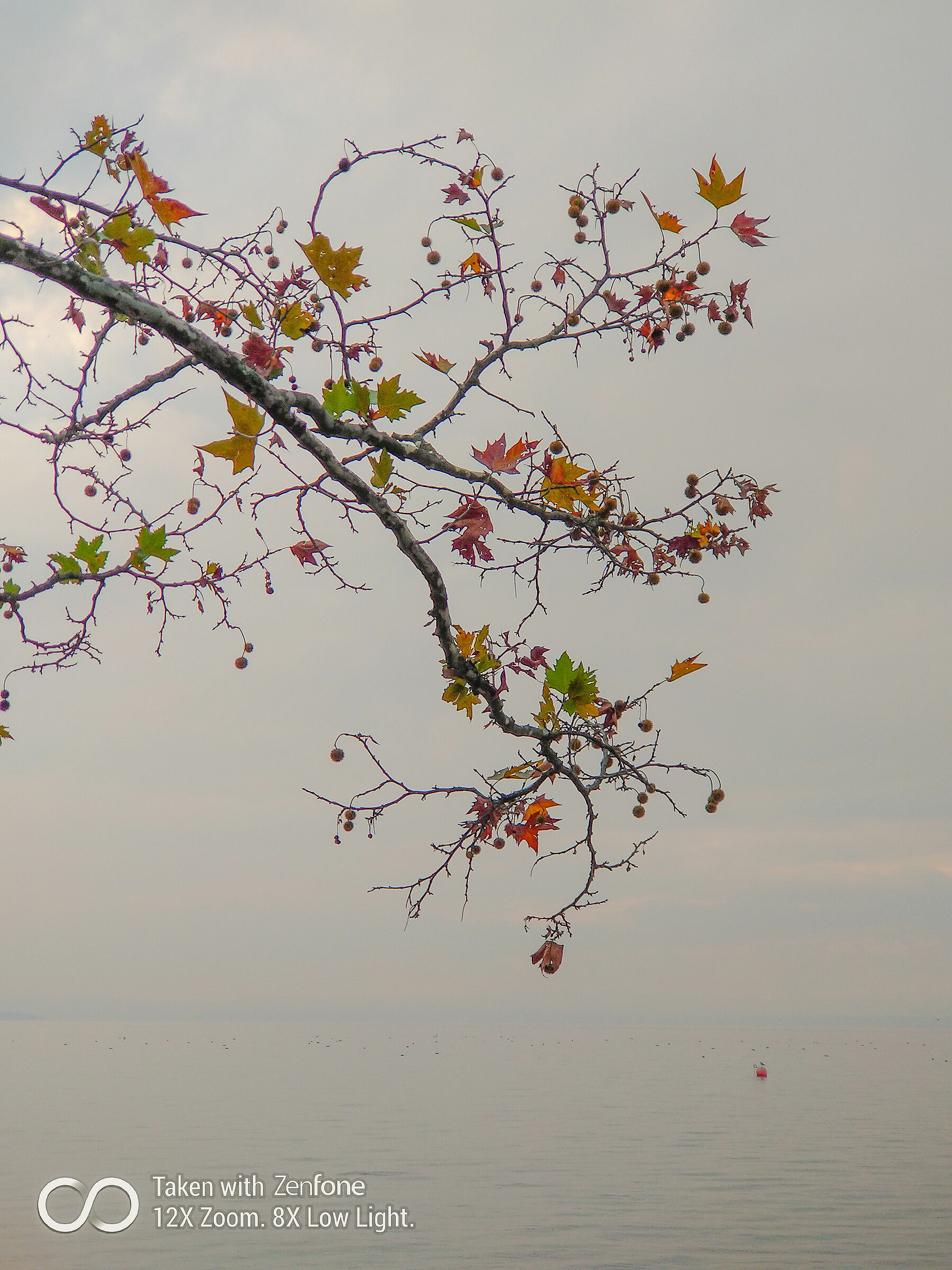 Autunno al Garda