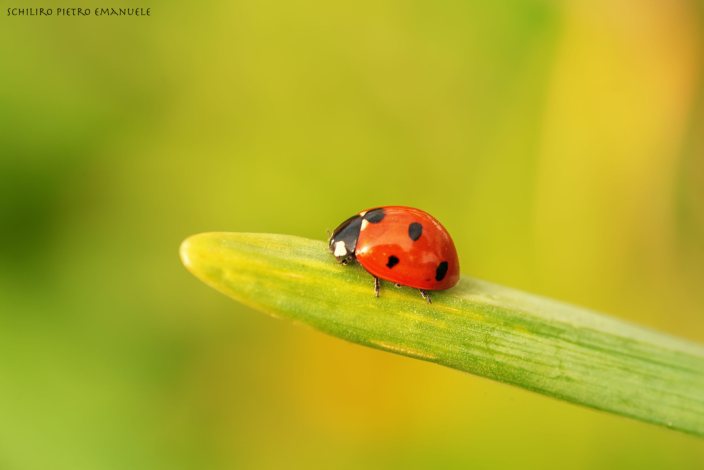 The arrival of a new departure.