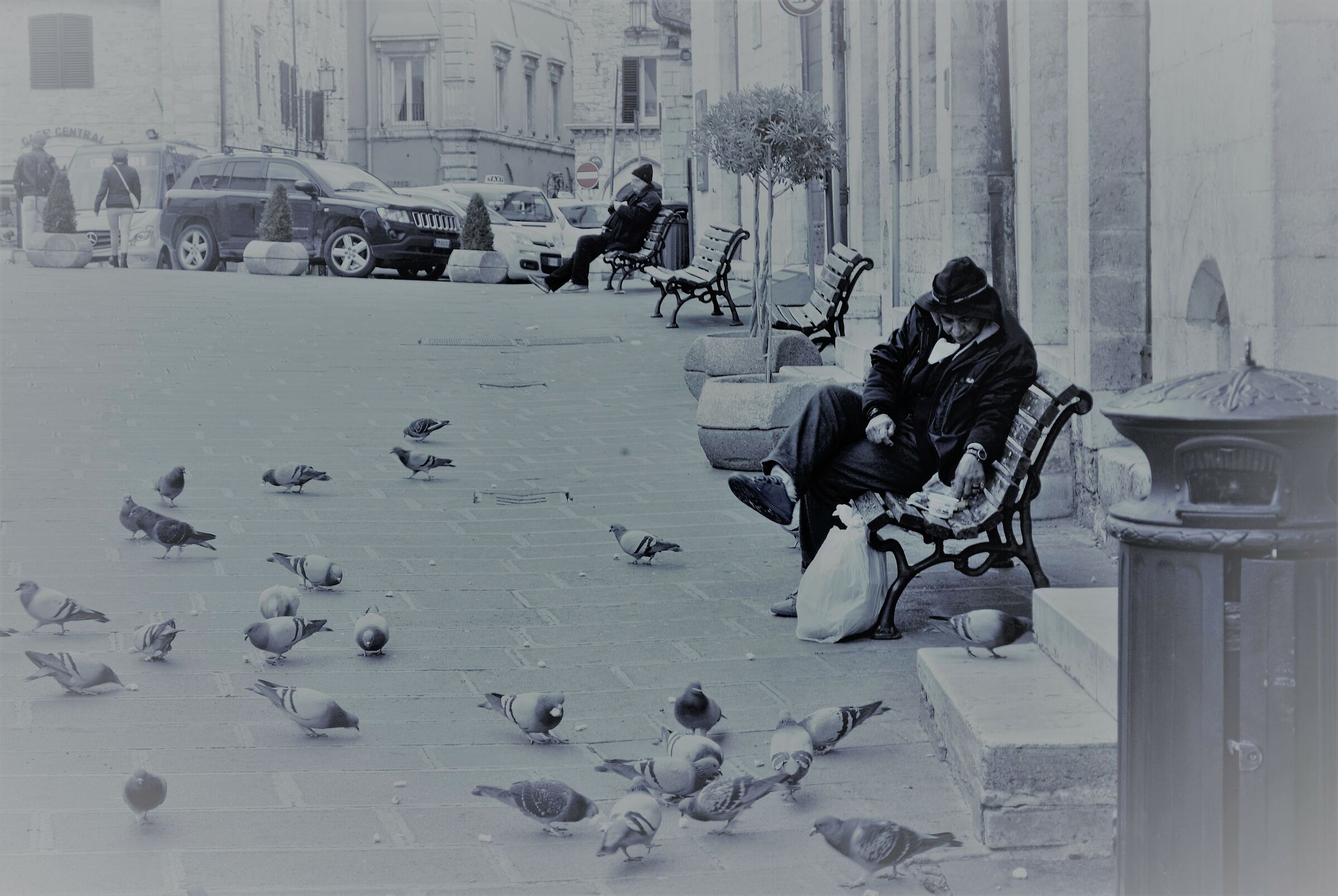 The Pigeon Man