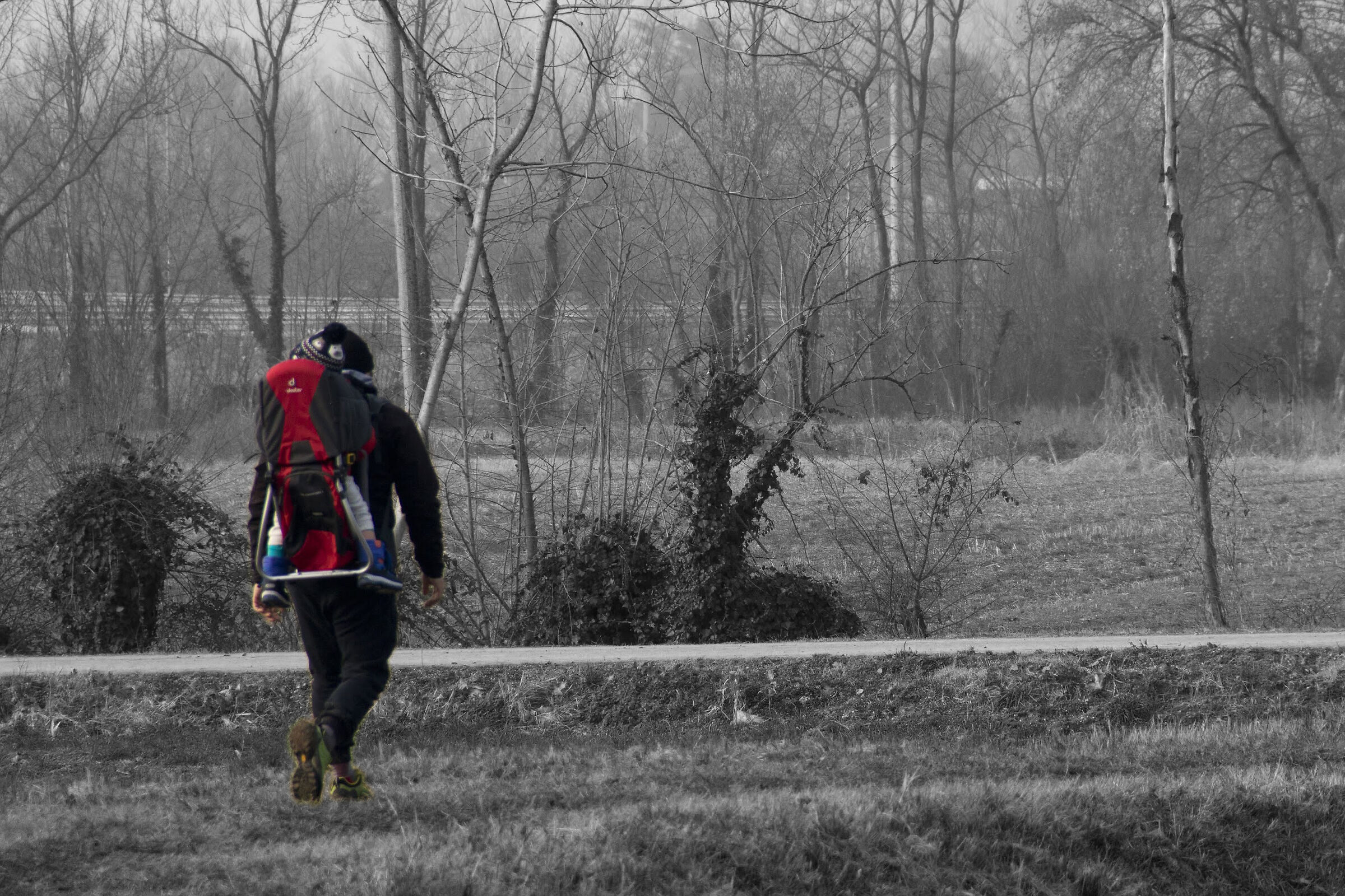 Passeggiando in una grigia giornata