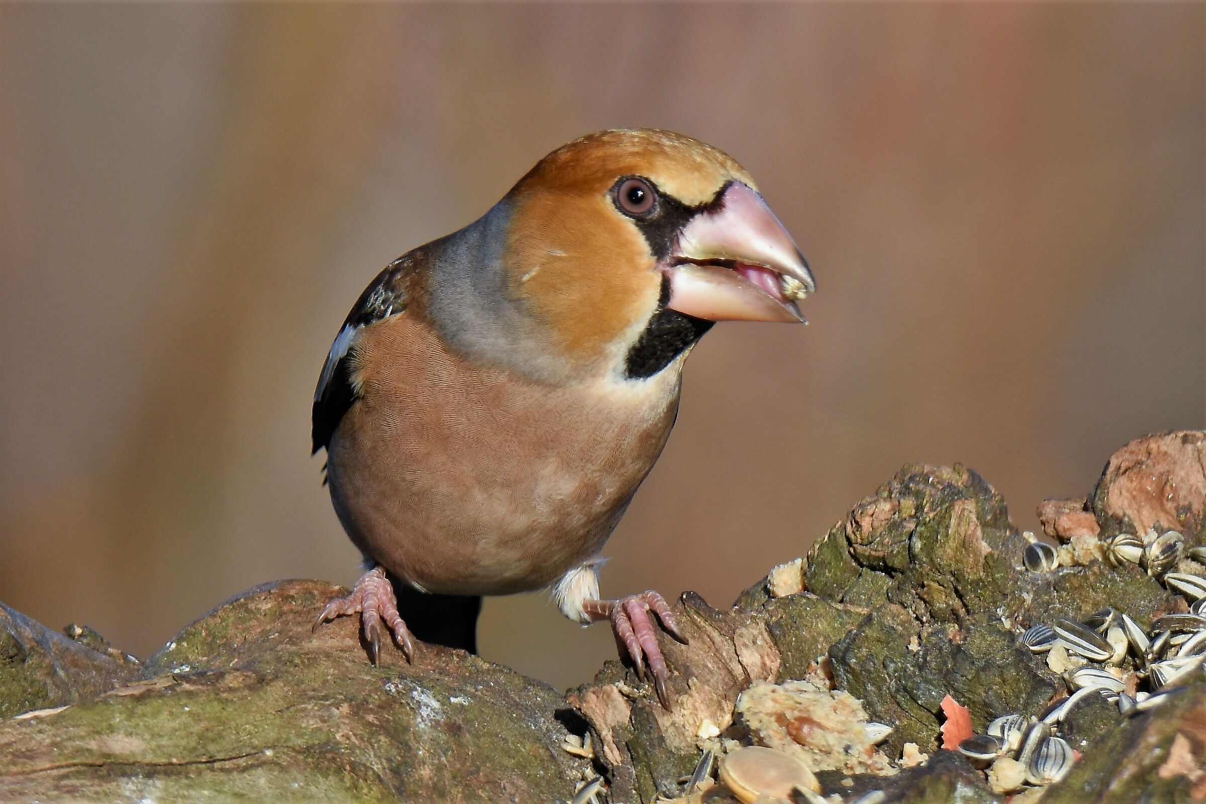 No..... even when I eat!!!!!!