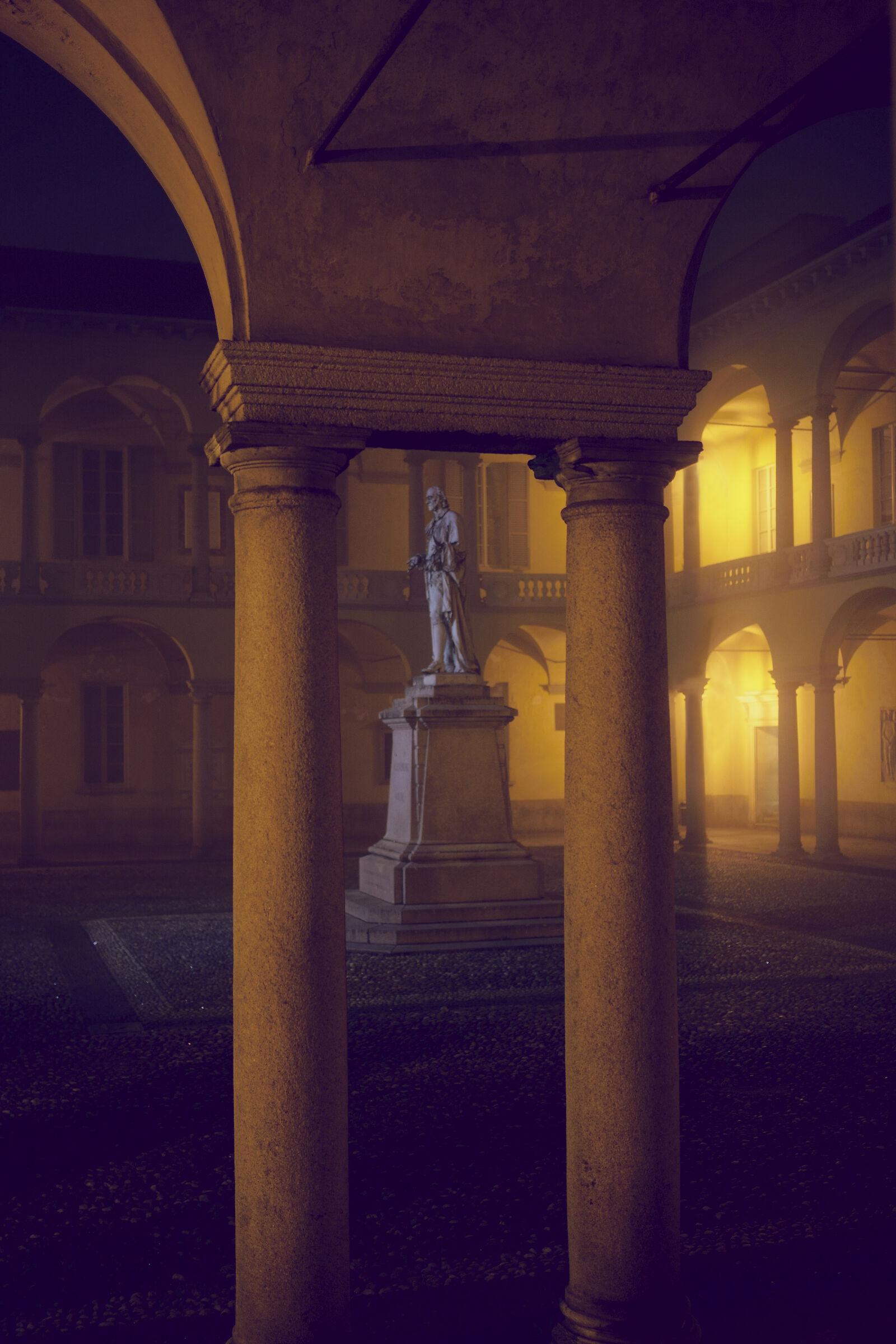 Statue of Volta, University of Pavia 1B