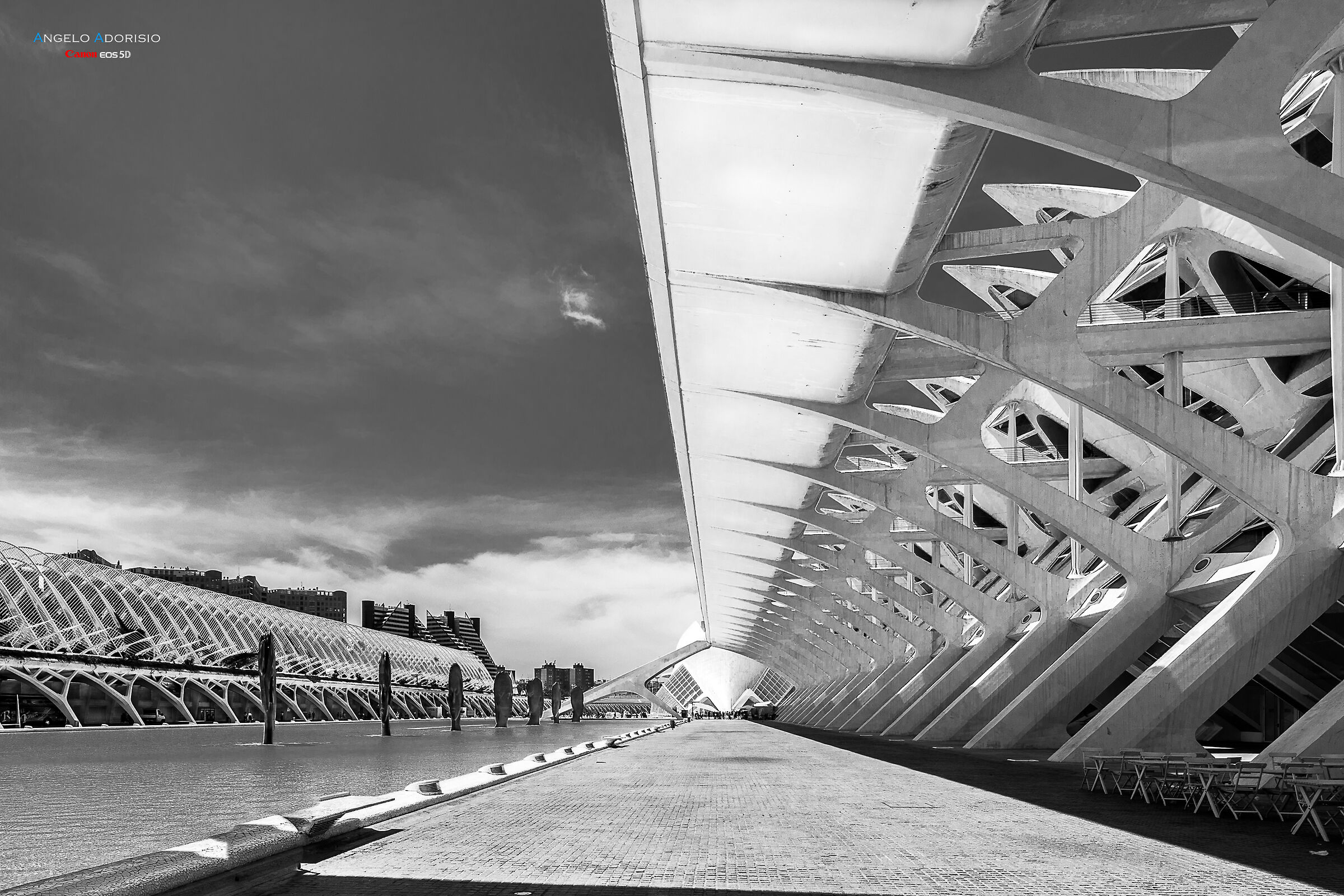 Città delle Arti e delle Scienze