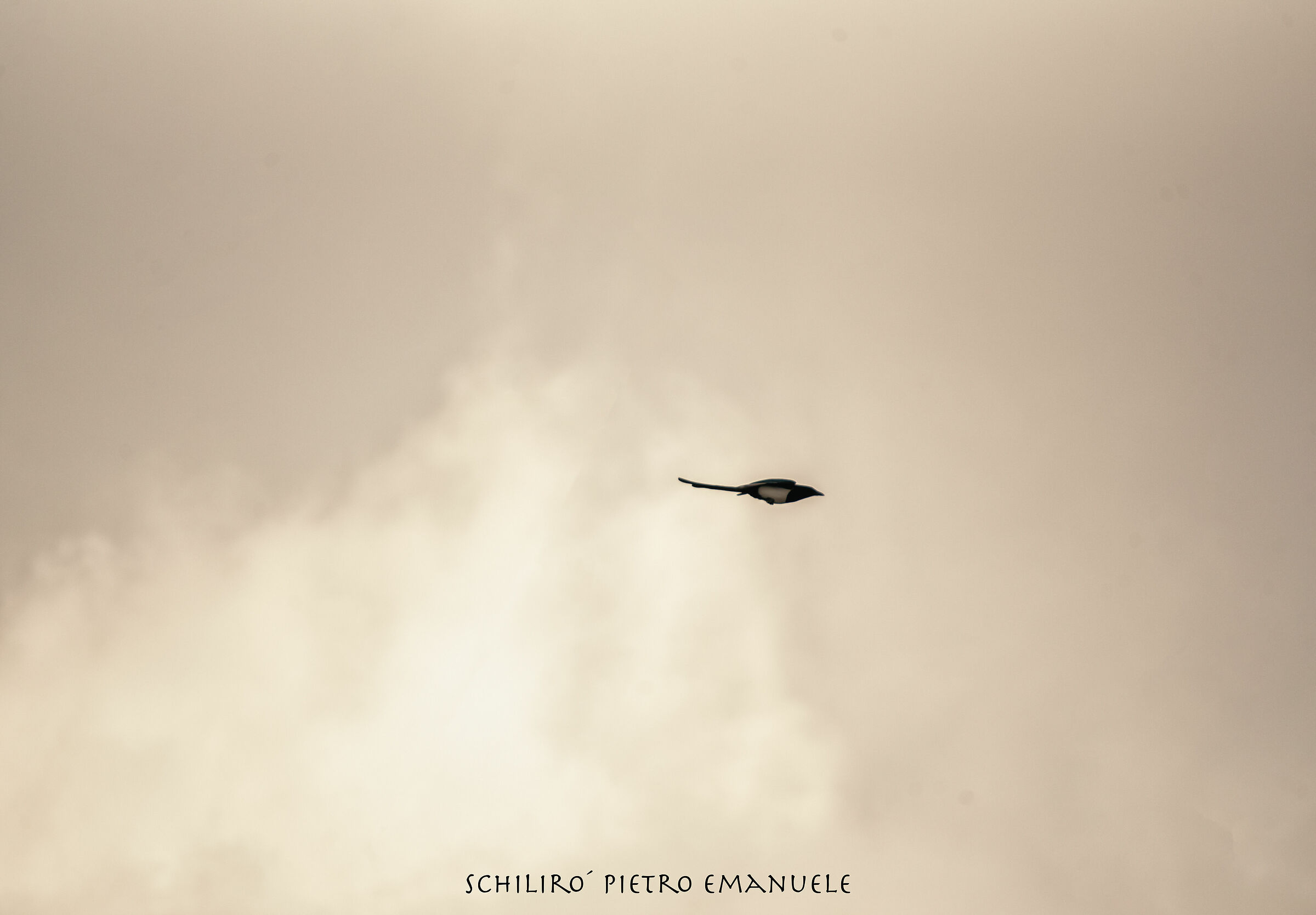 The torpedo, beyond the wall of sound the silence.