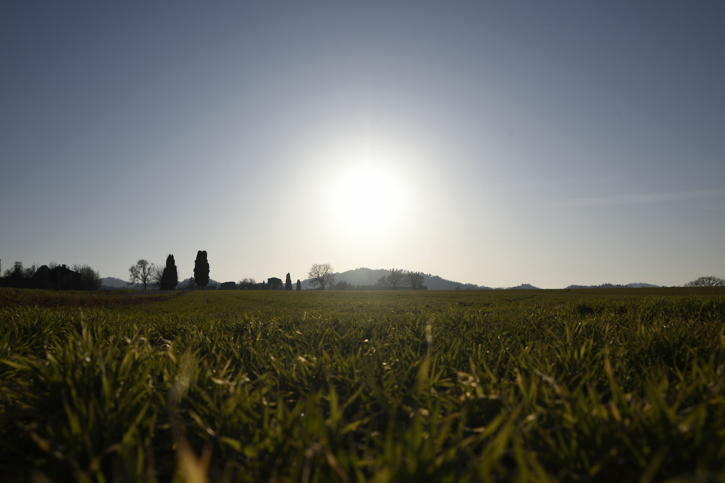 Controluci bolognesi