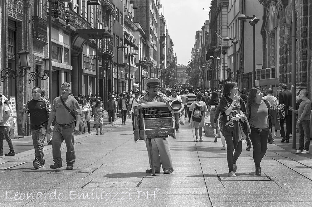 Calle Madero, organ player