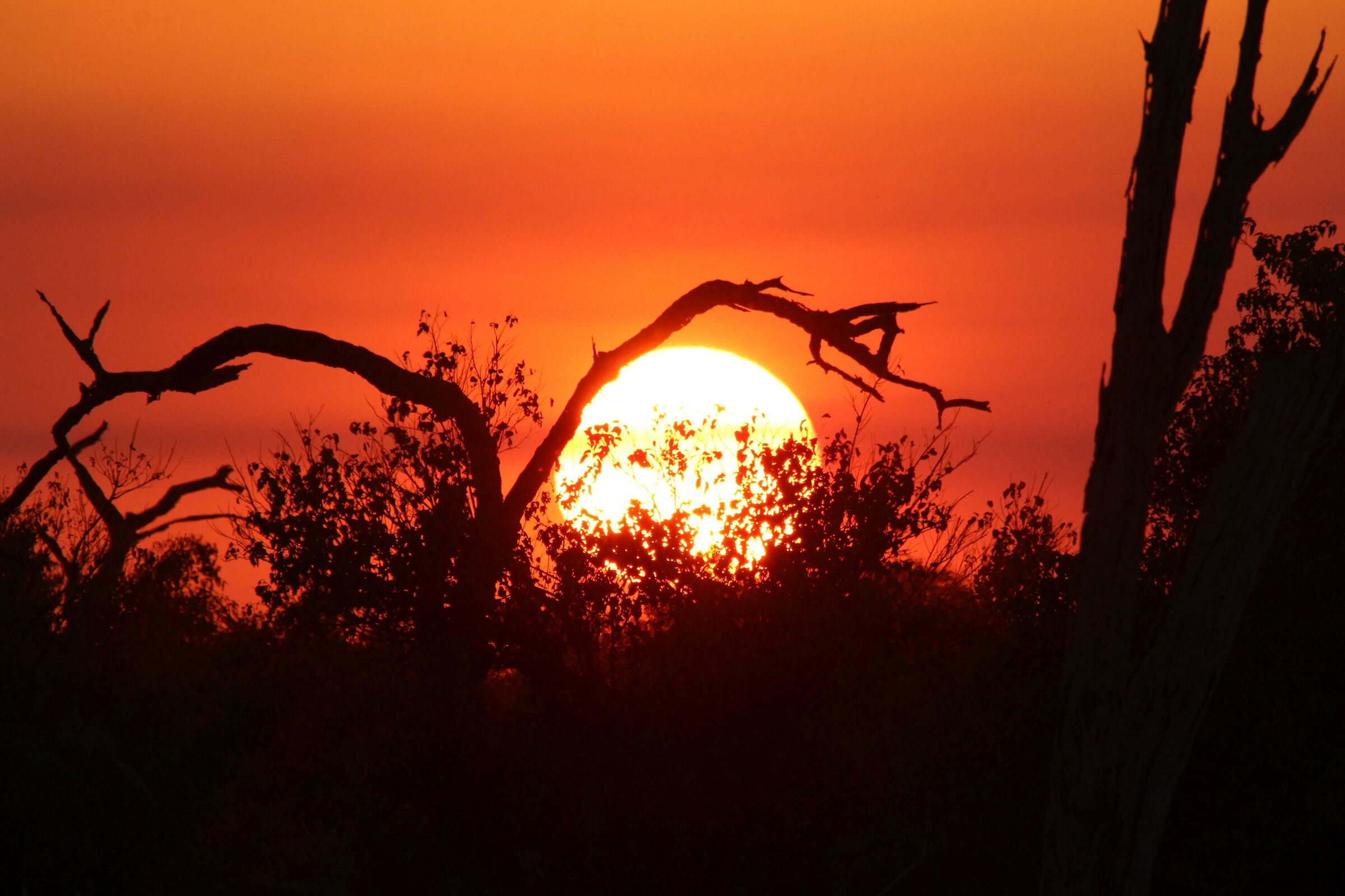 Tramonto in Botswana
