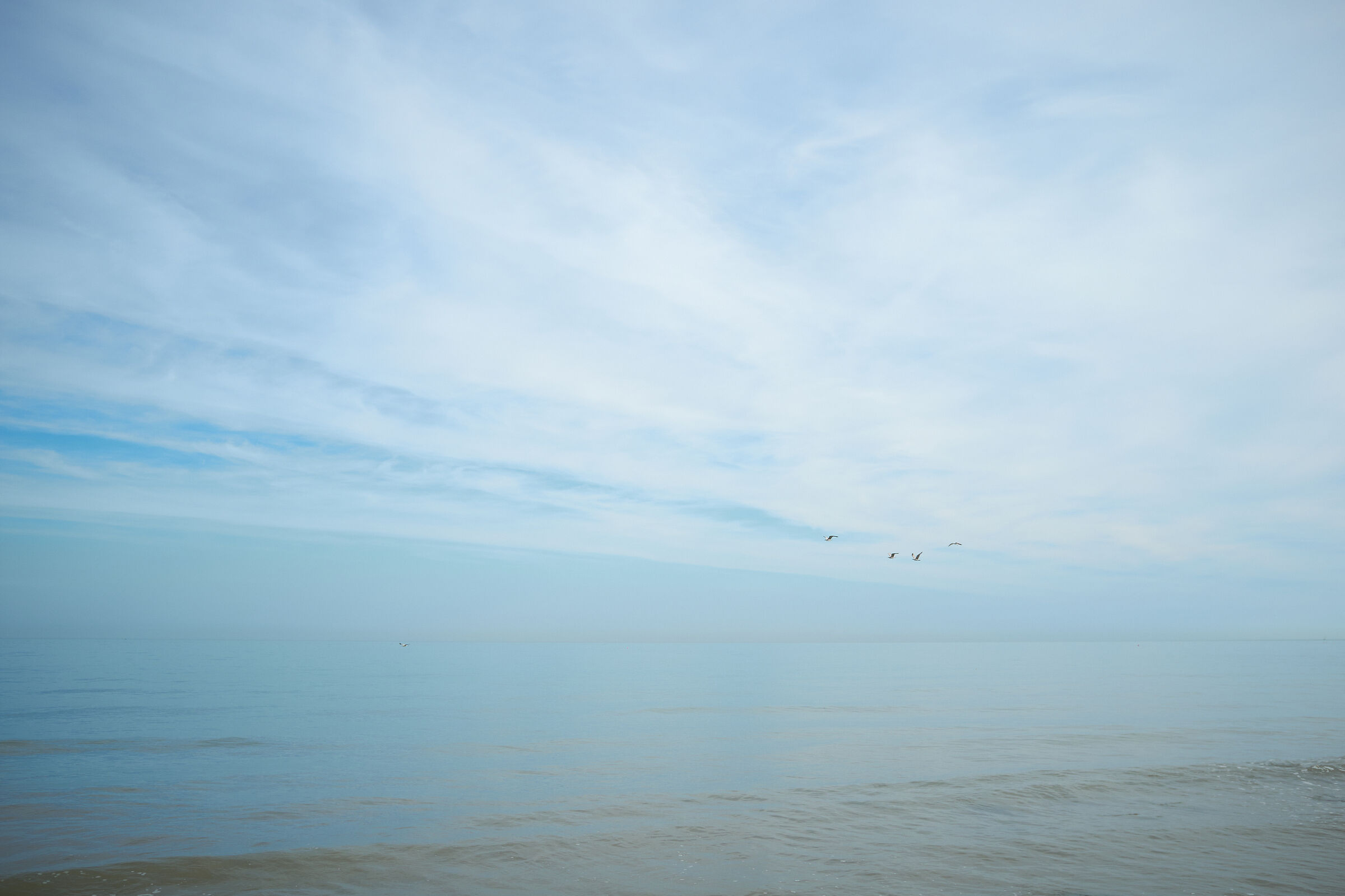 Eastbourne 2019