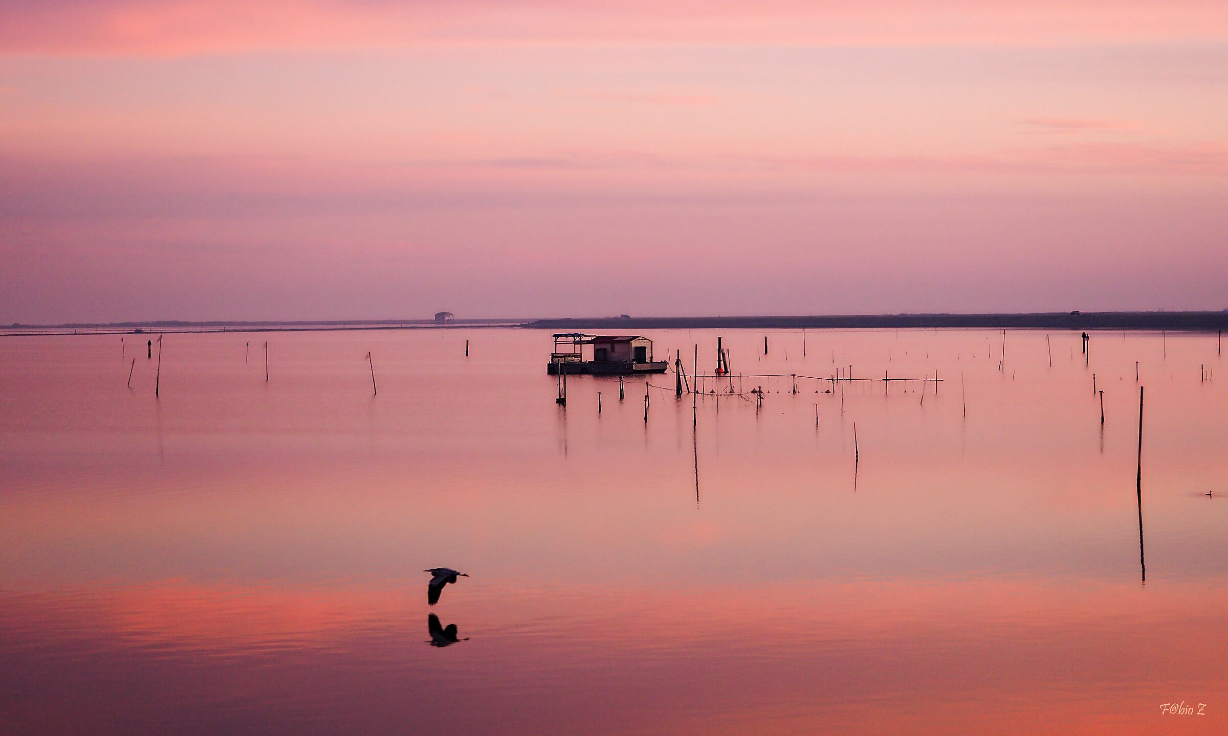 Da uno dei tuoi posti preferiti.... r.i.p. MArio