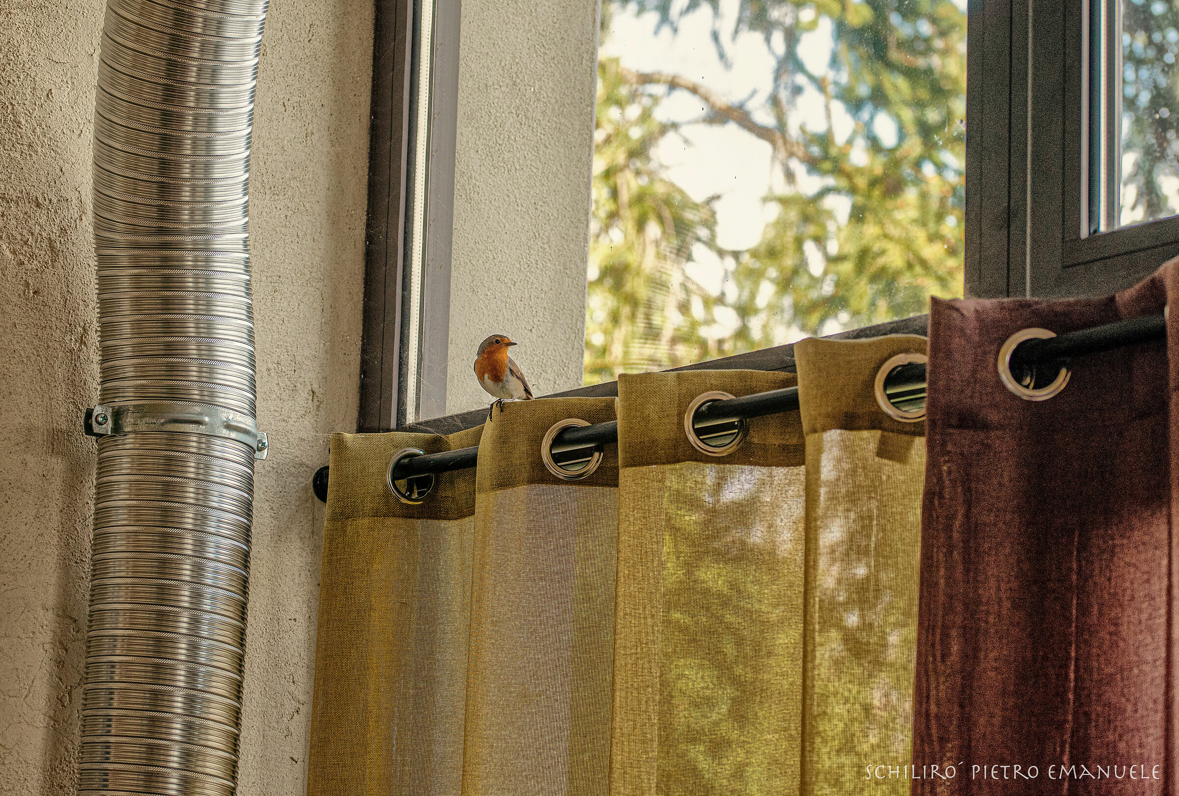 Hired with Full Day Free contract