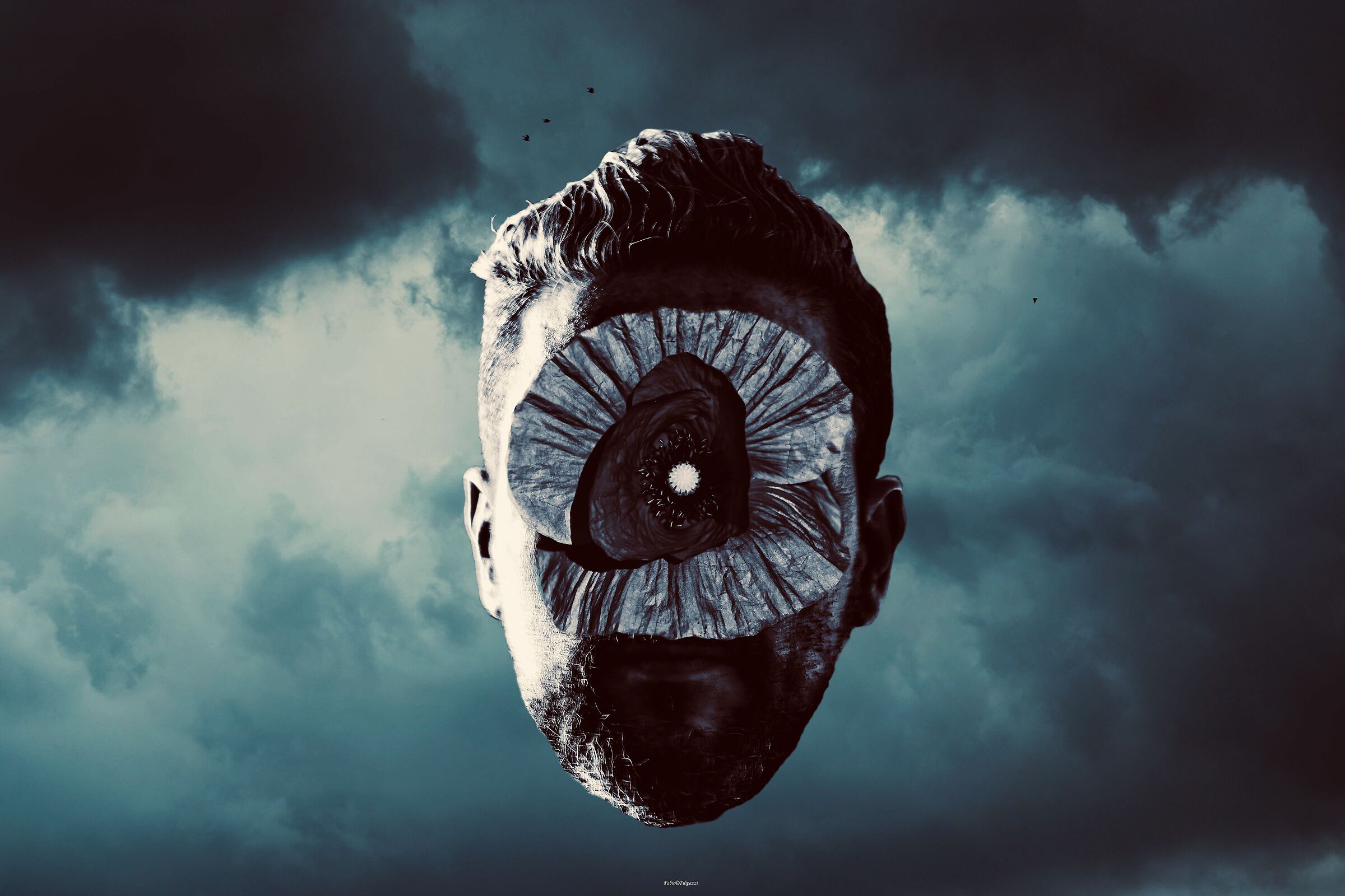 Distratto dal superfluo,non vedevi la bellezza