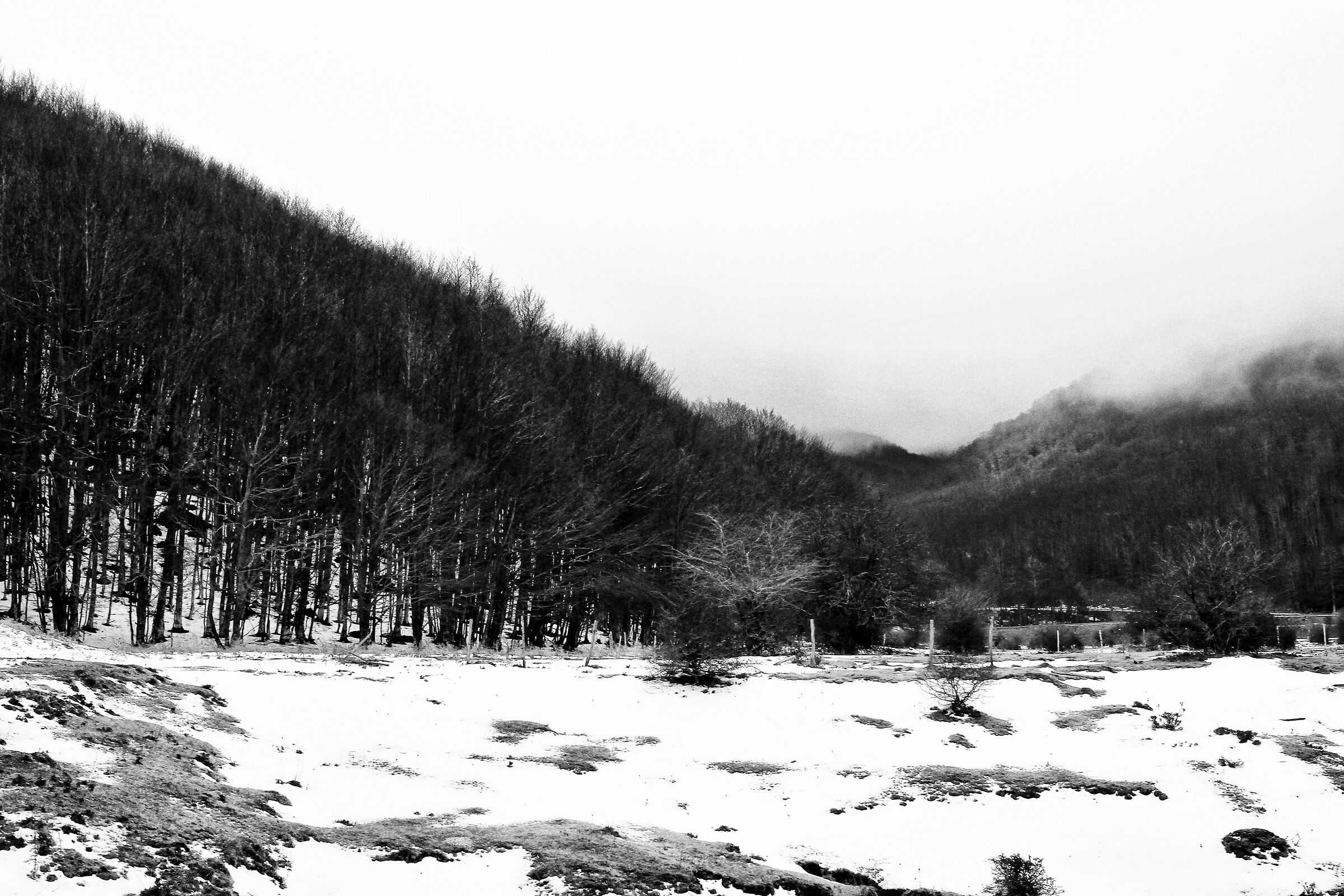 Valle del massiccio del Terminio