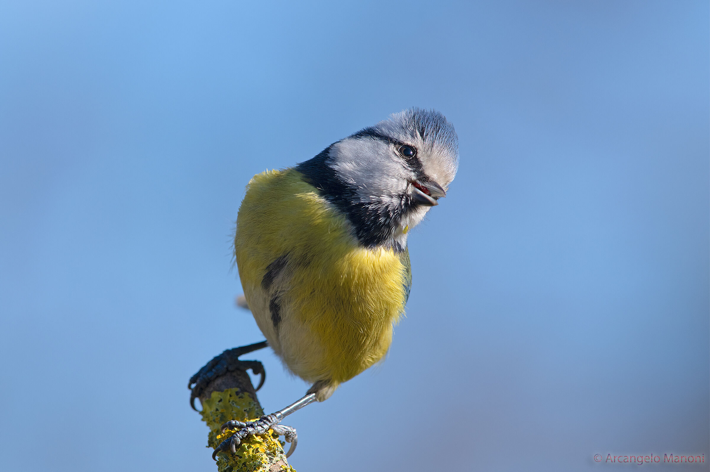 The 'crooked' look of the