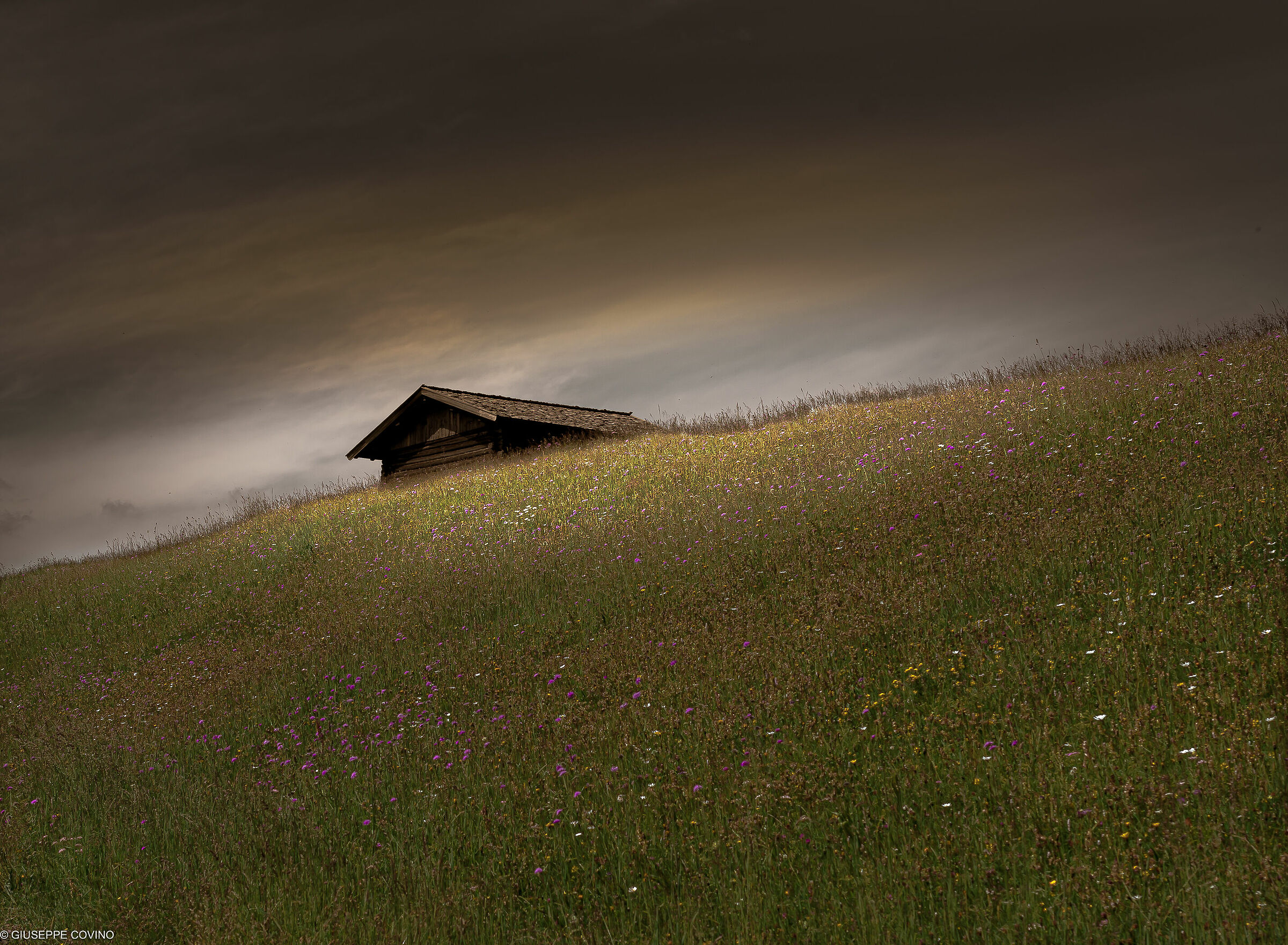La malga sul crinale