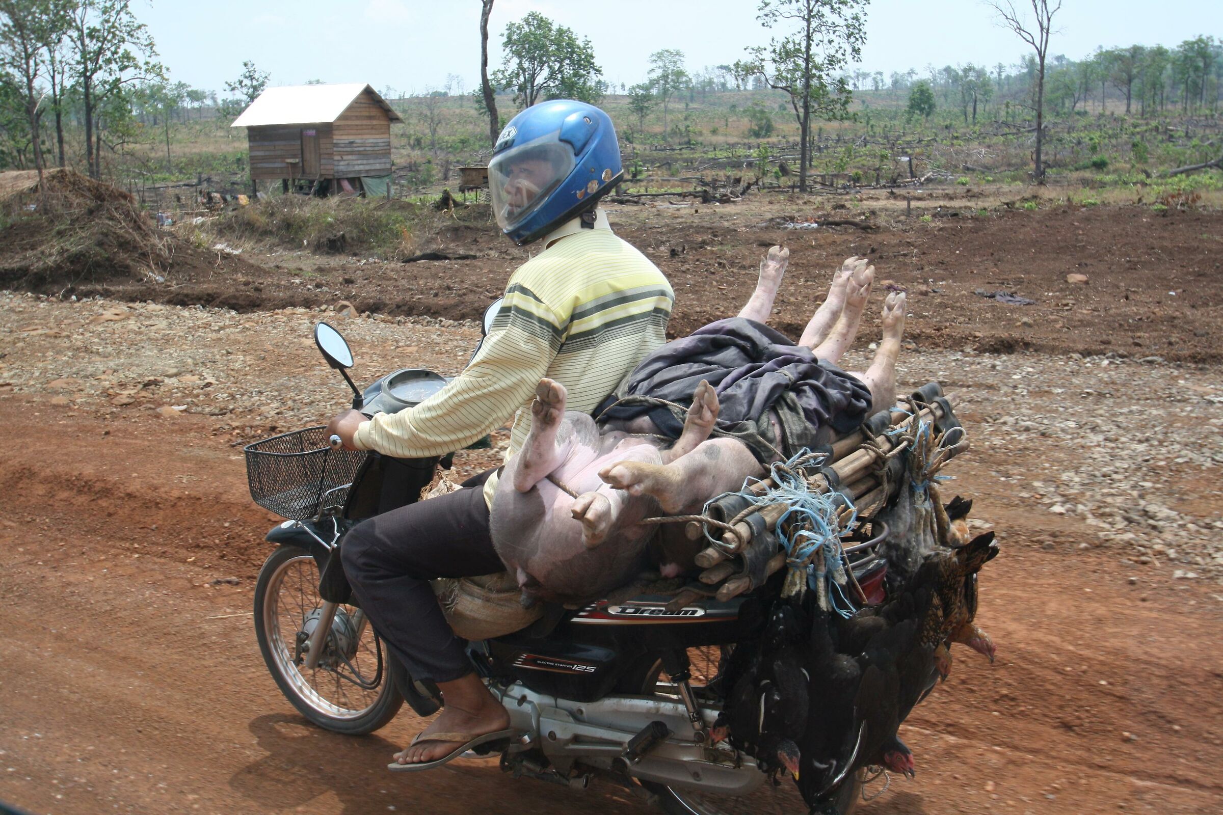 Vietnam - Trasporto singolare