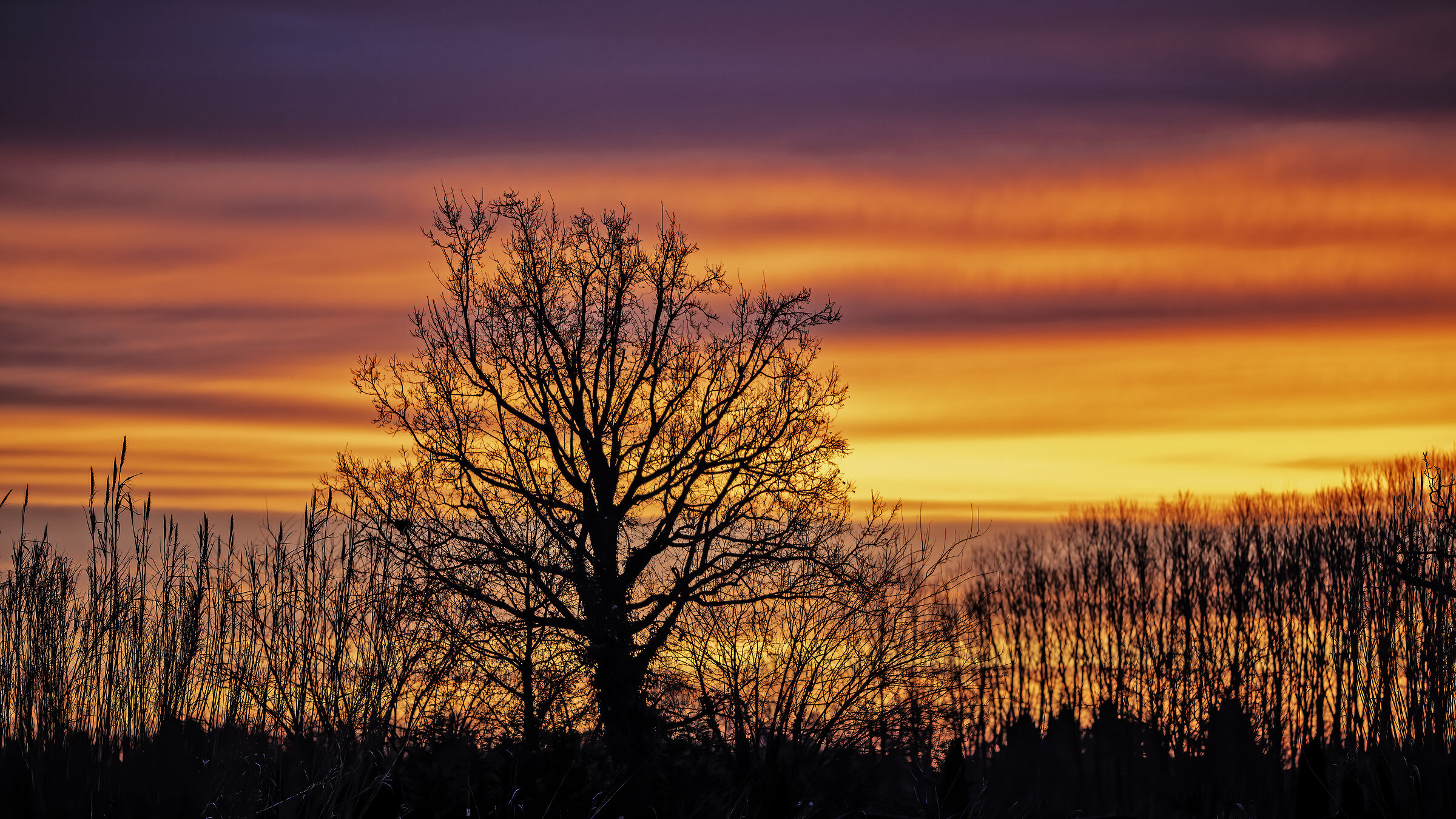 All the colors of a sunrise