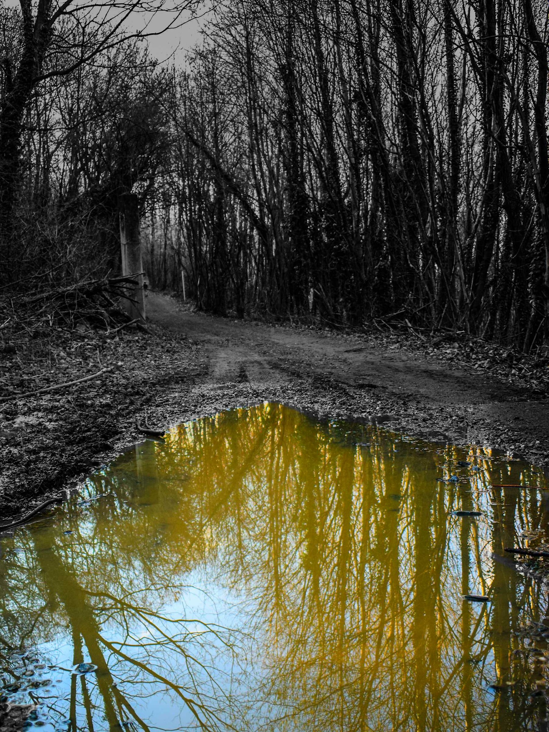 Colorful reflections