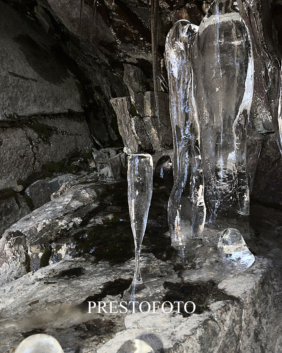 quando la natura ci stupisce