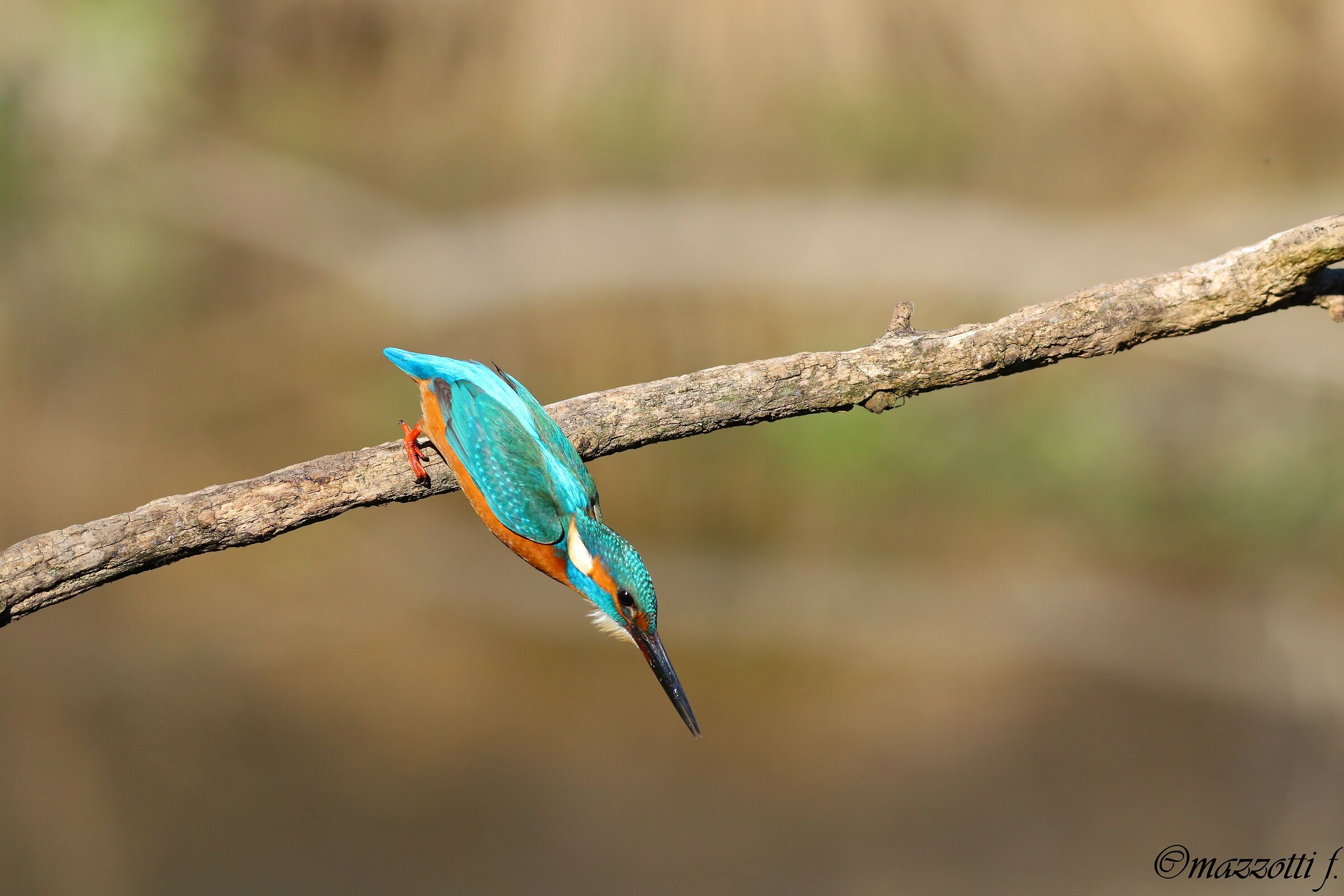 Departure....... Via