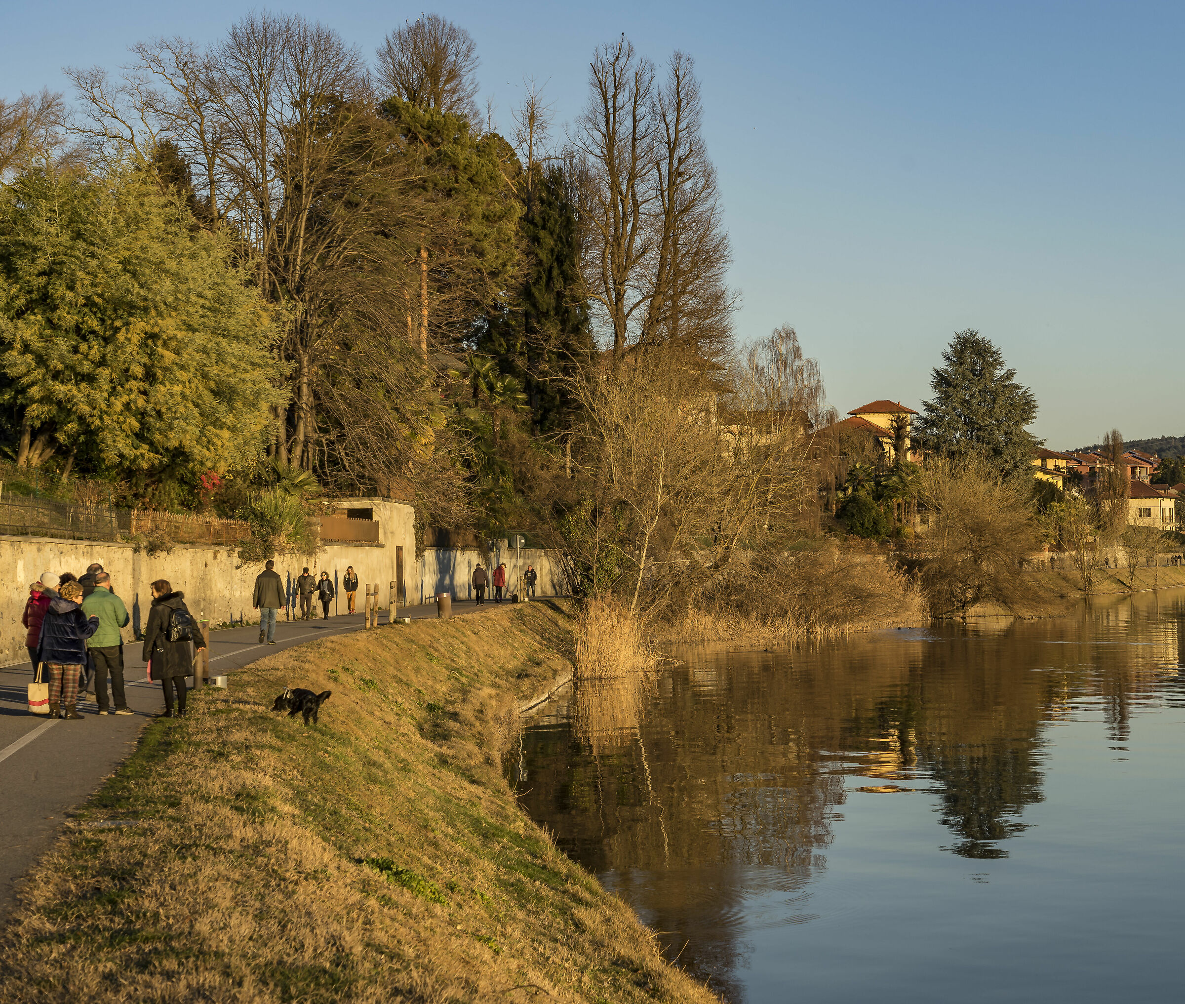 Venerdì 7 febbraio 2020, 17:04